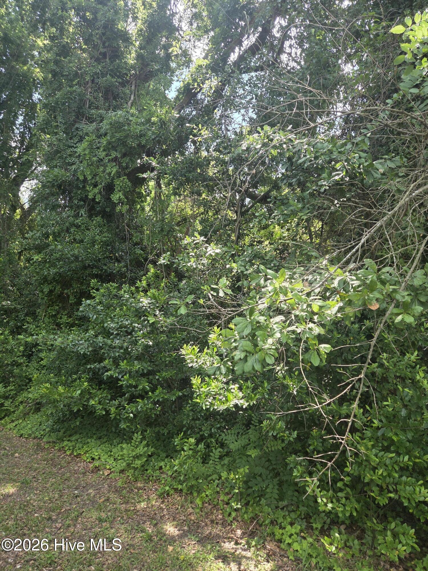 8th image of Tbd N Skipper St N, Rockingham, NC 28379 | MLS# 100589288