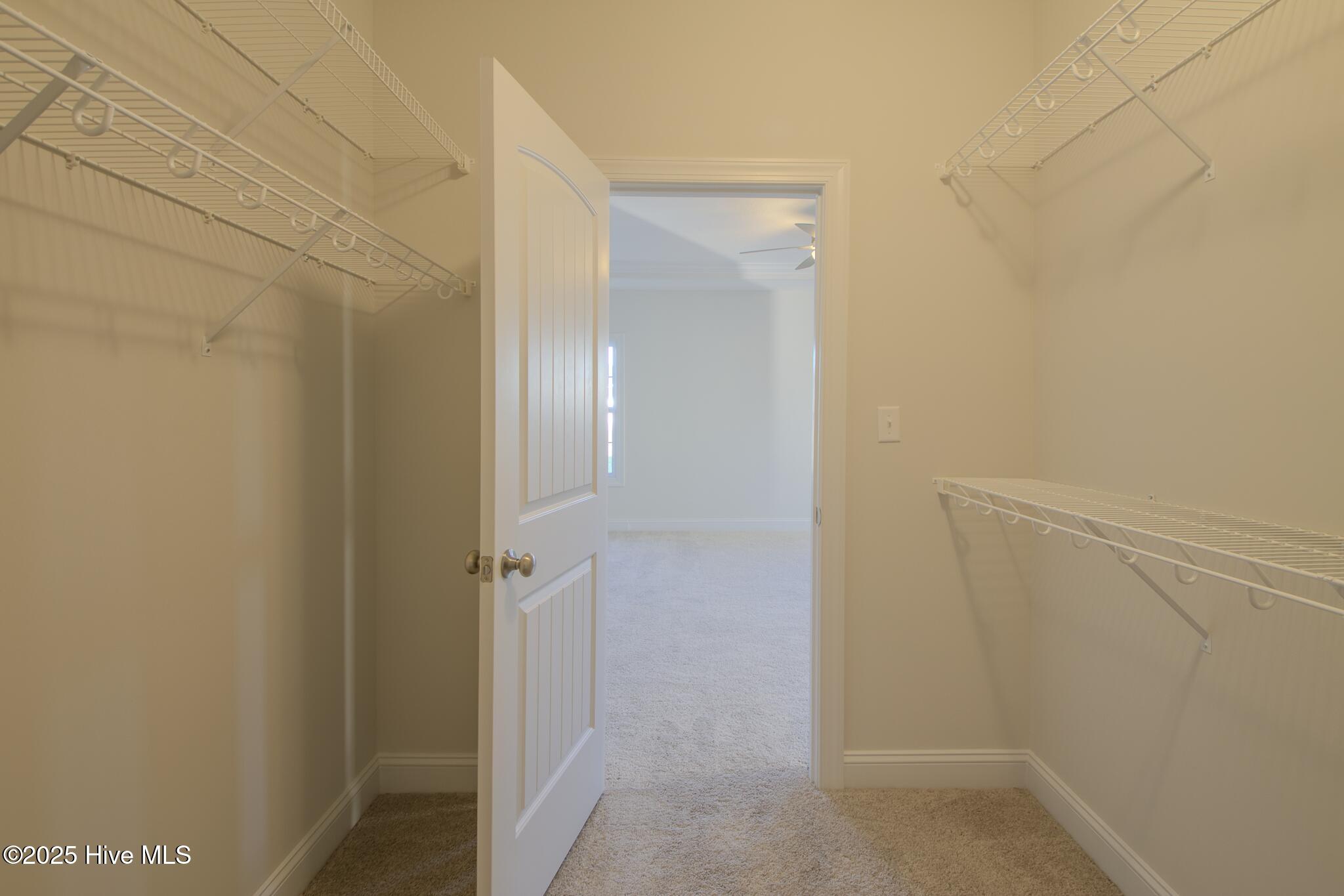 100492208 | Photo 21