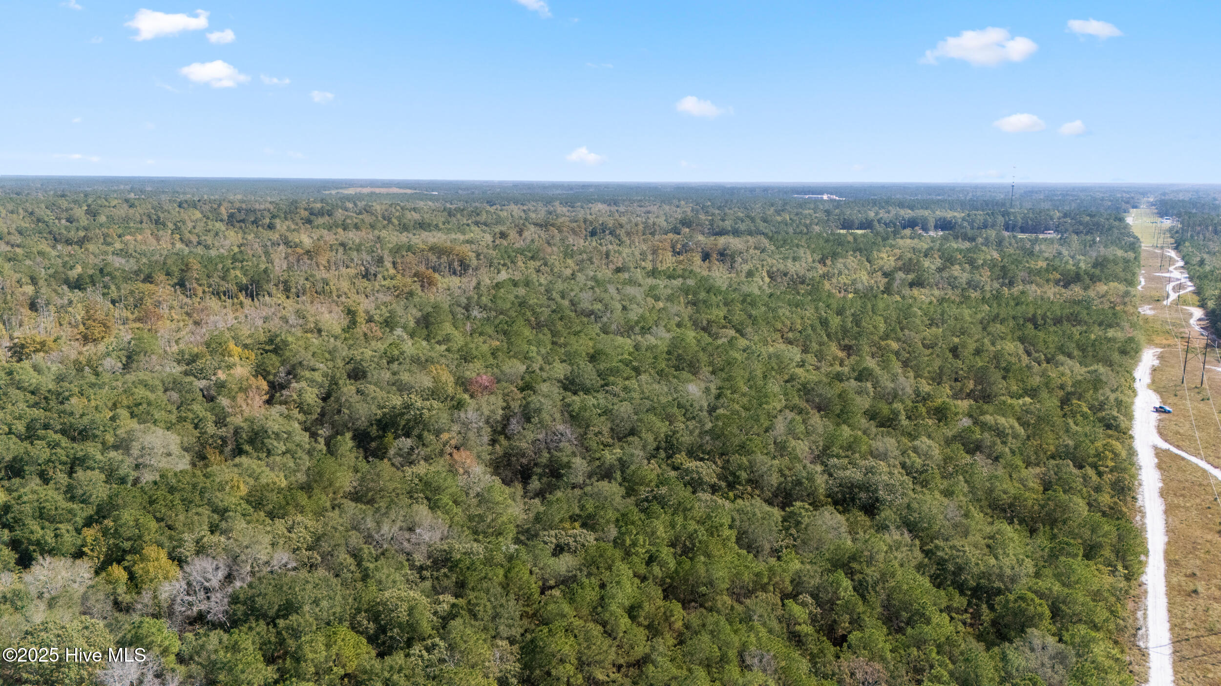 100536371 | Photo 15