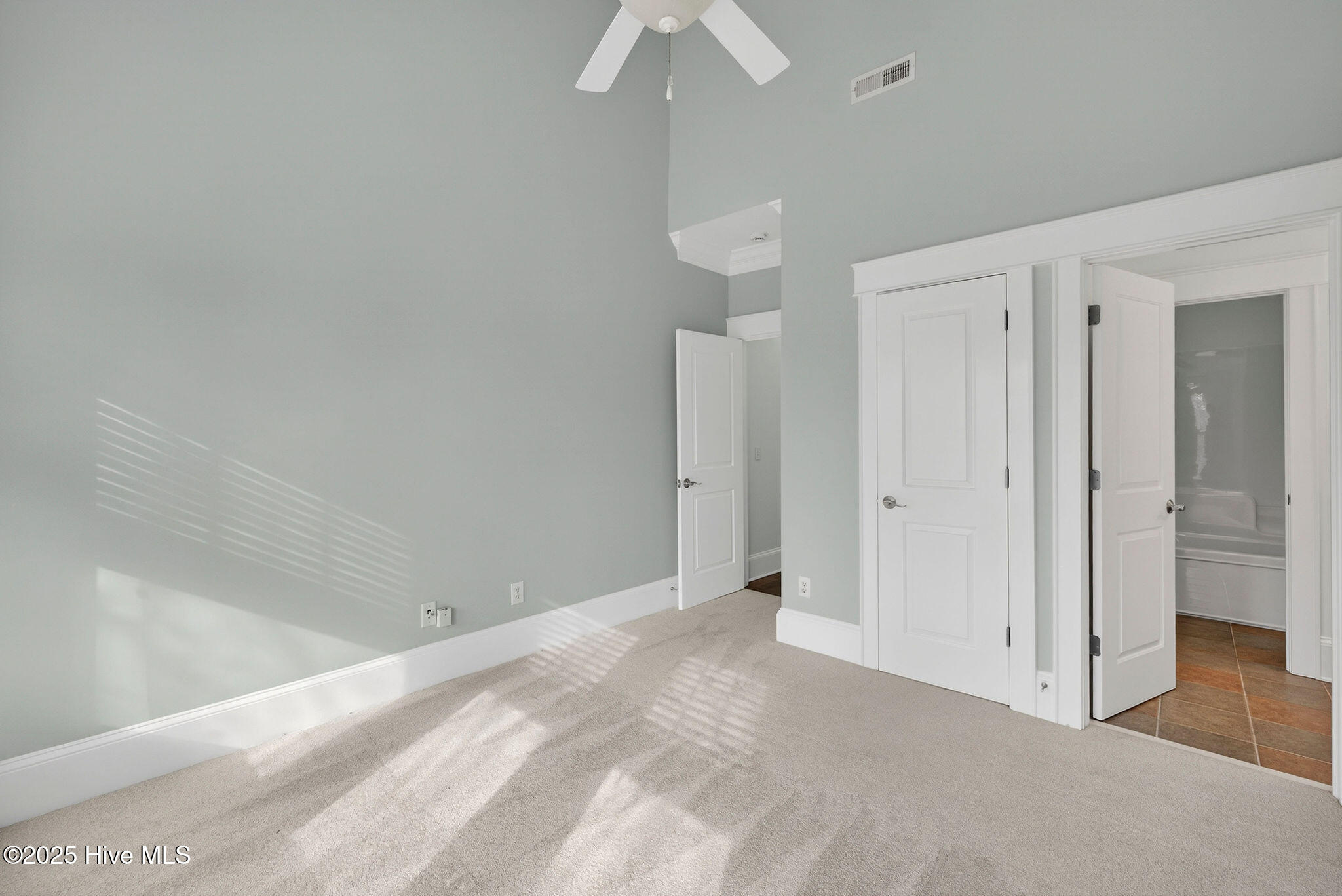 100545451 | Photo 39