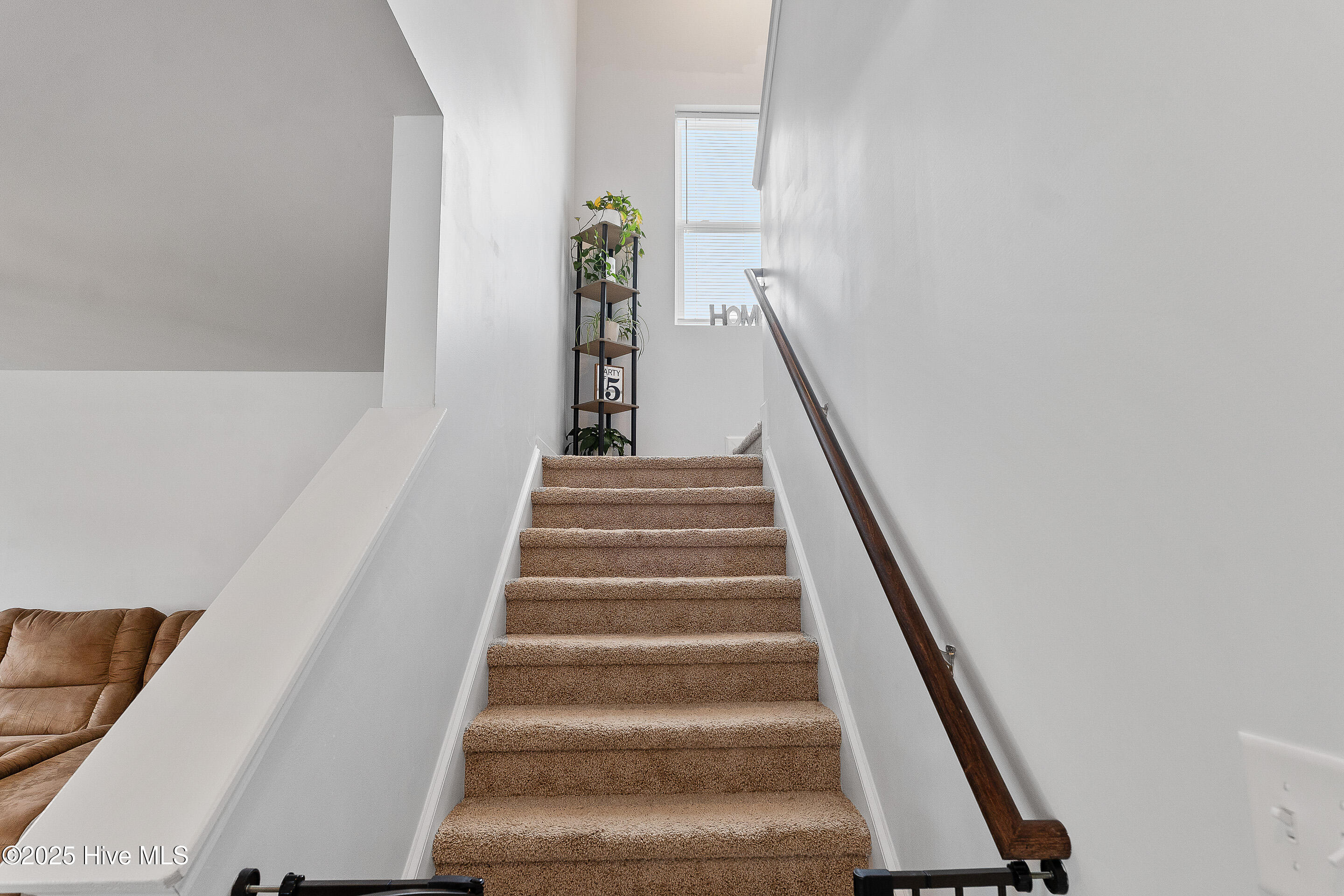 100510114 | Photo 13