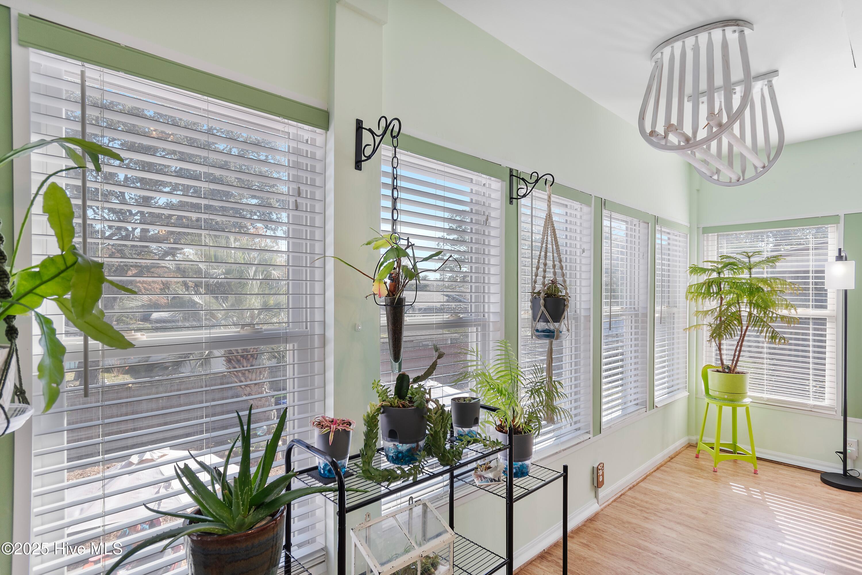 100542990 | Photo 30