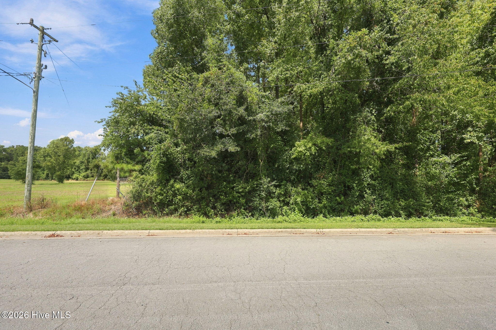 100603739 | Photo 2