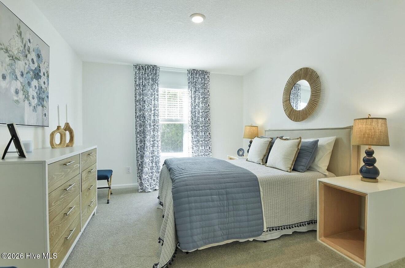 100553912 | Photo 12