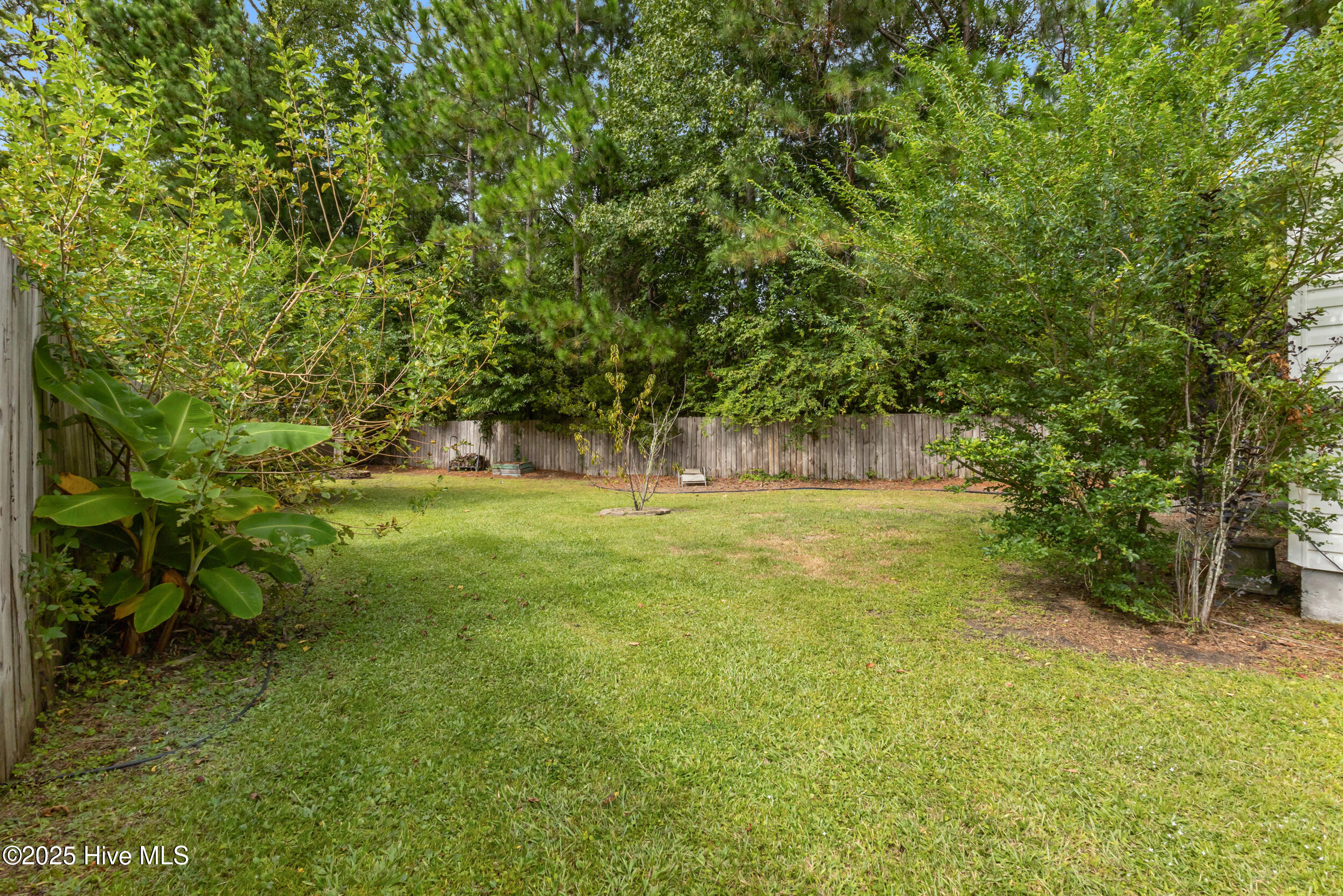 100530409 | Photo 21