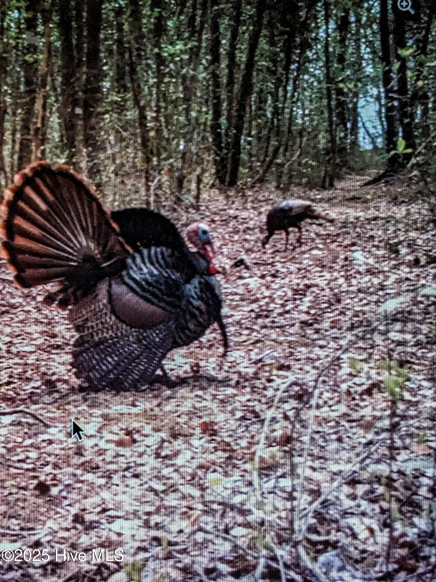 Homes for sale in Creswell, NC | 283 S Fork Creek Rd, Creswell, NC 27928 | MLS# 100533828