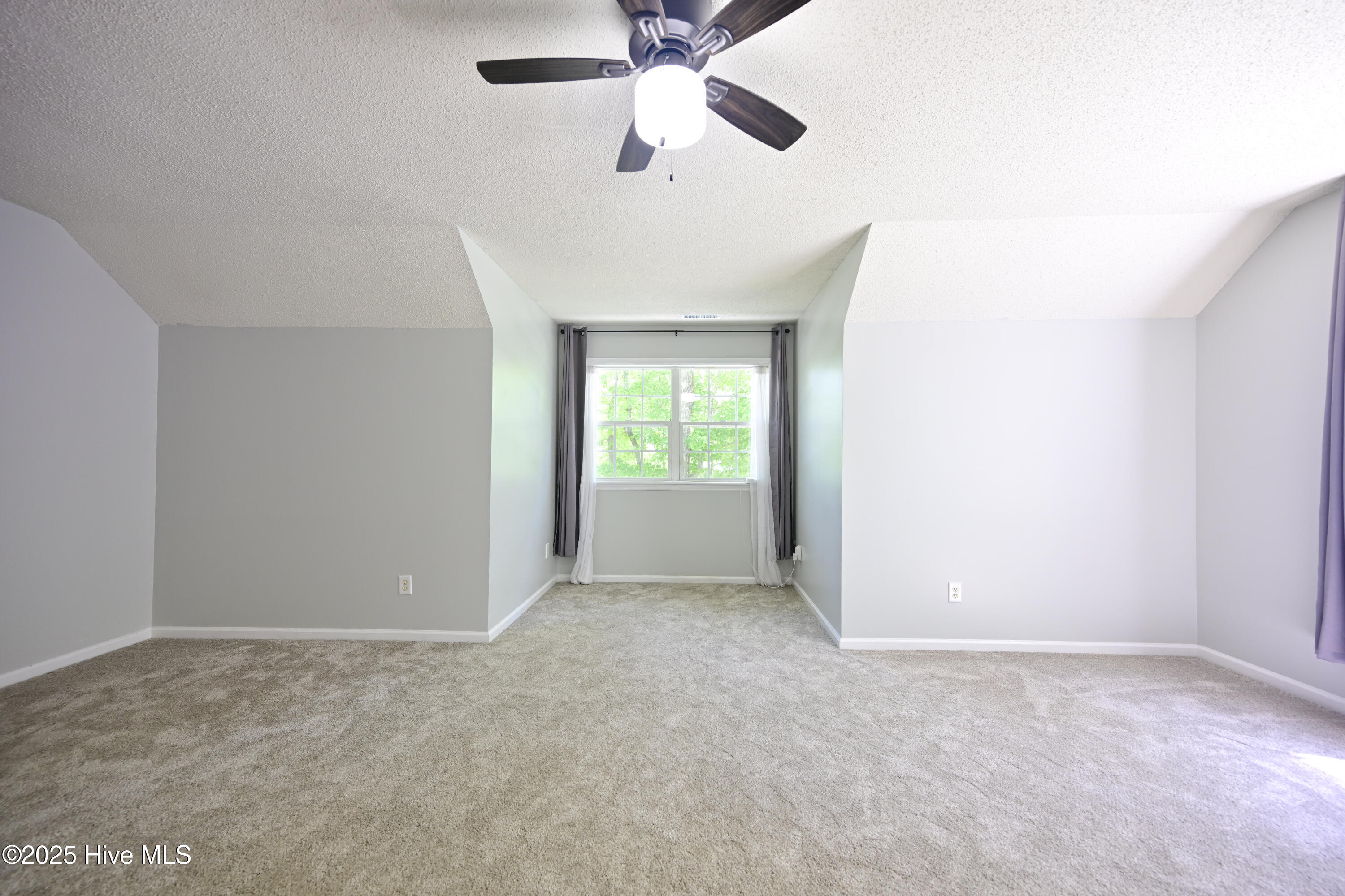 100523748 | Photo 29