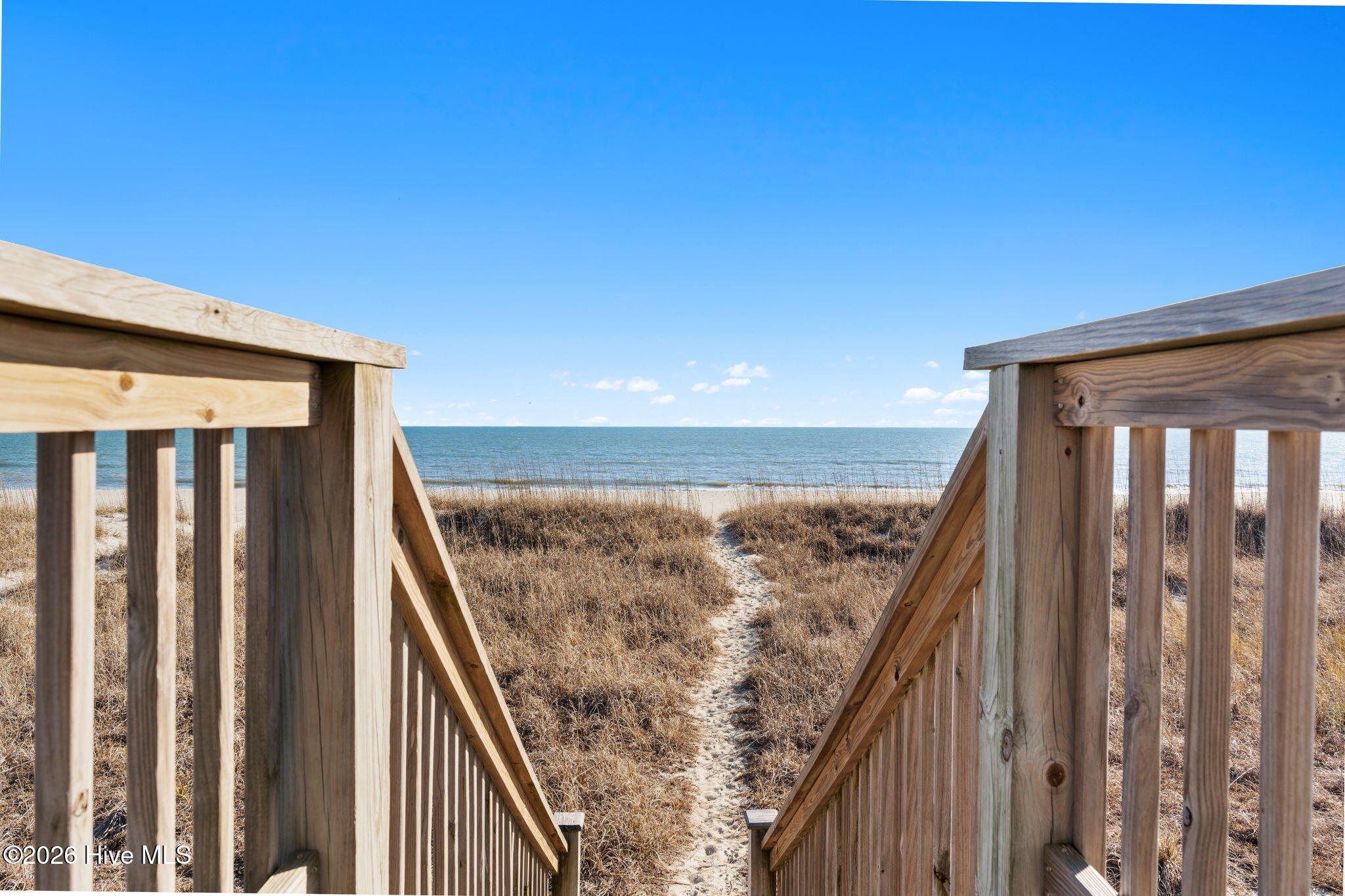 100552493 | Photo 34