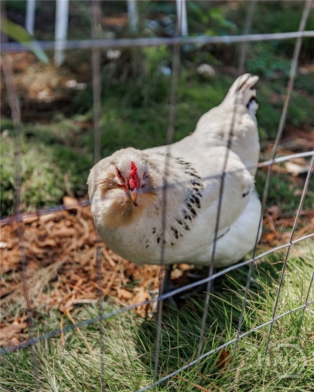 1070 Sunnyside Drive