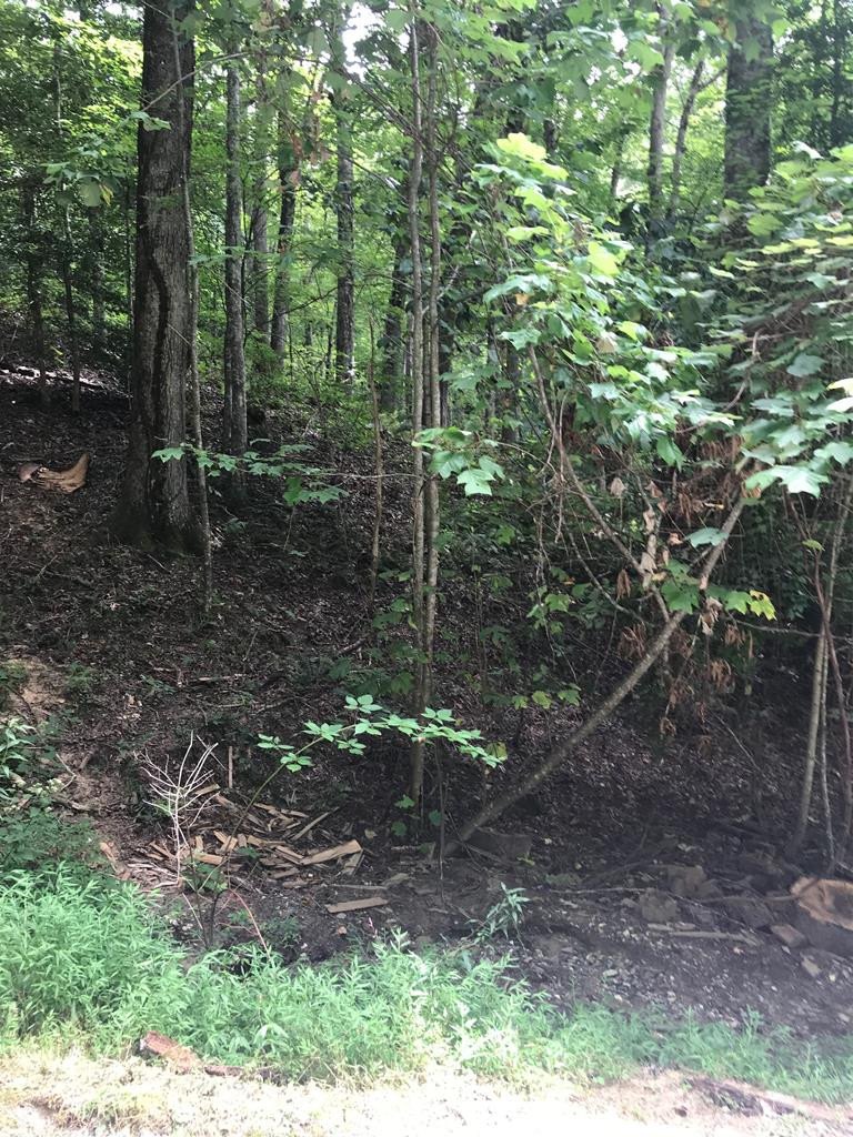 Homes for sale in Topton, NC | Lot 8 Vista Loop Road Road, Topton, NC 28781 | MLS# 100589869