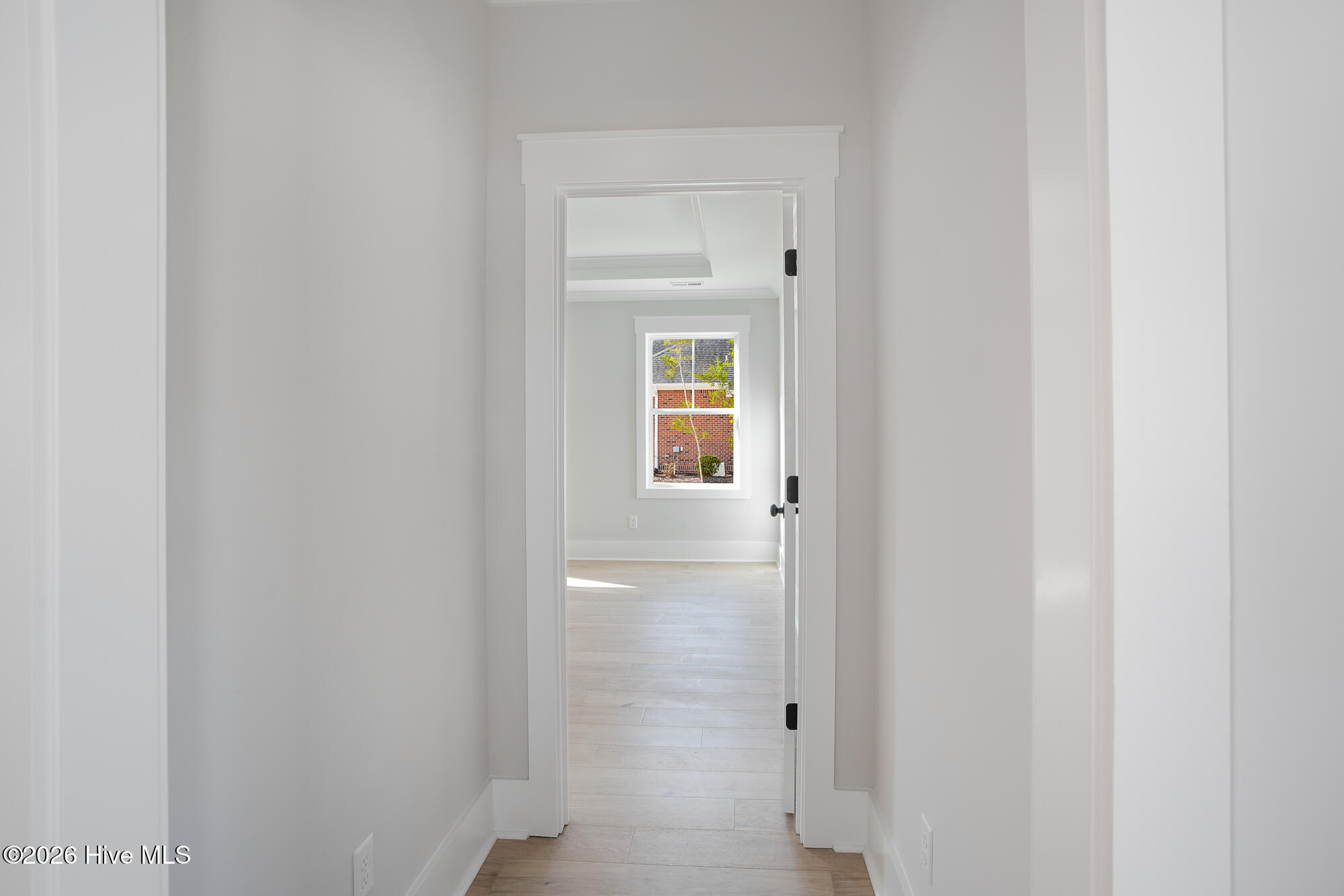 100564009 | Photo 14