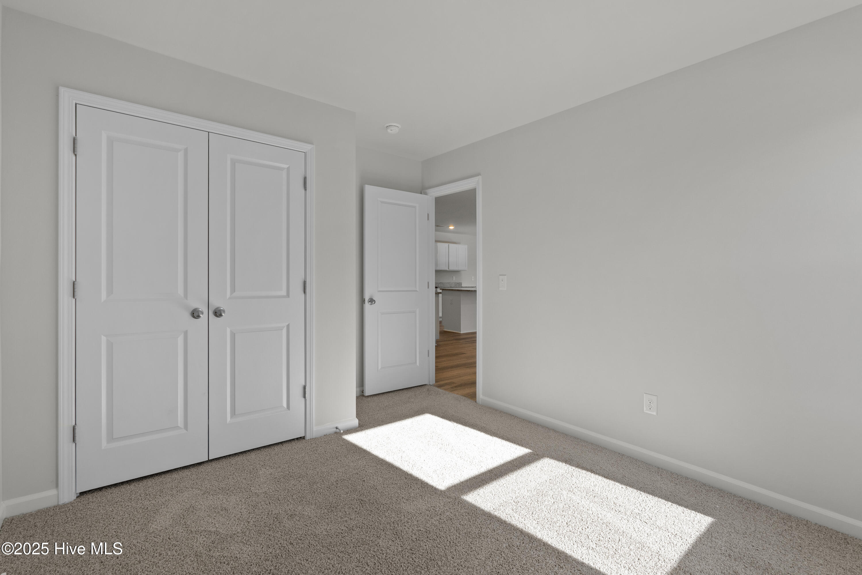 100528315 | Photo 29