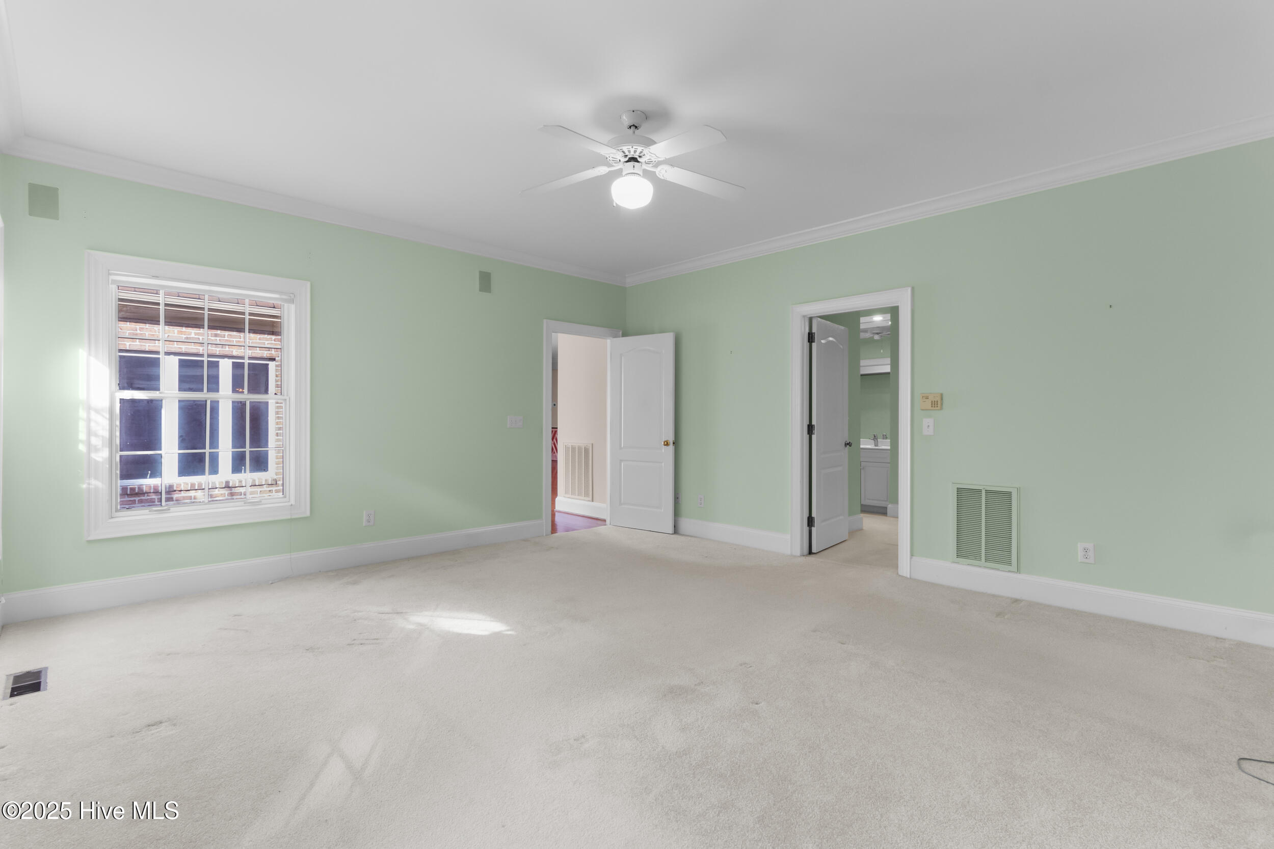 100516126 | Photo 22