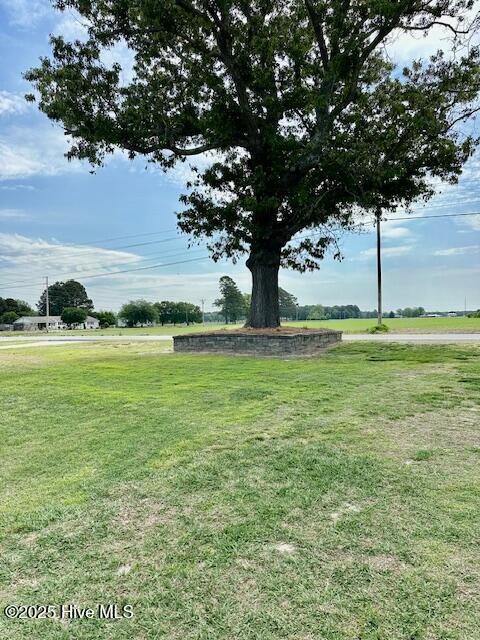 100554772 | Photo 20