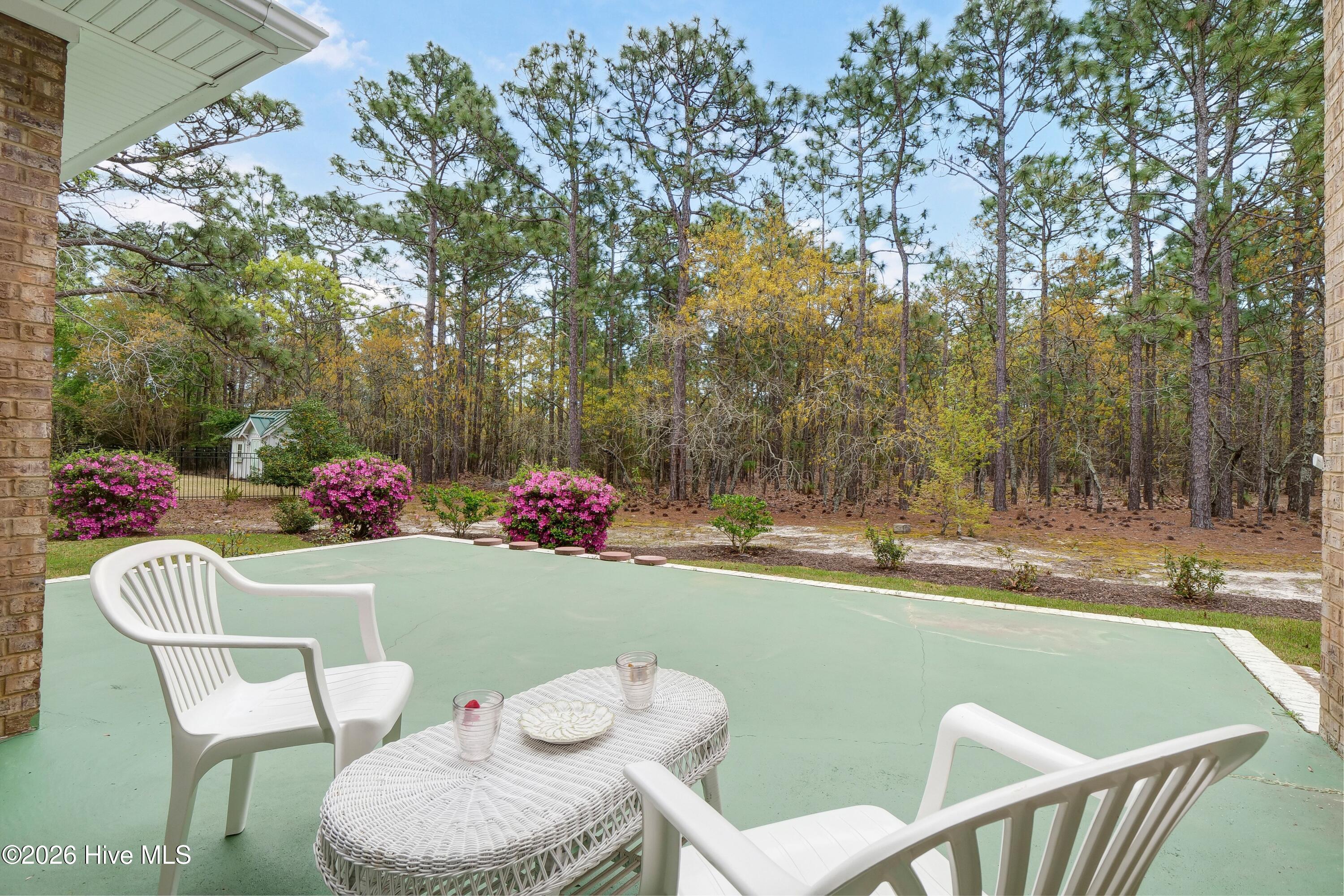 100564382 | Photo 26