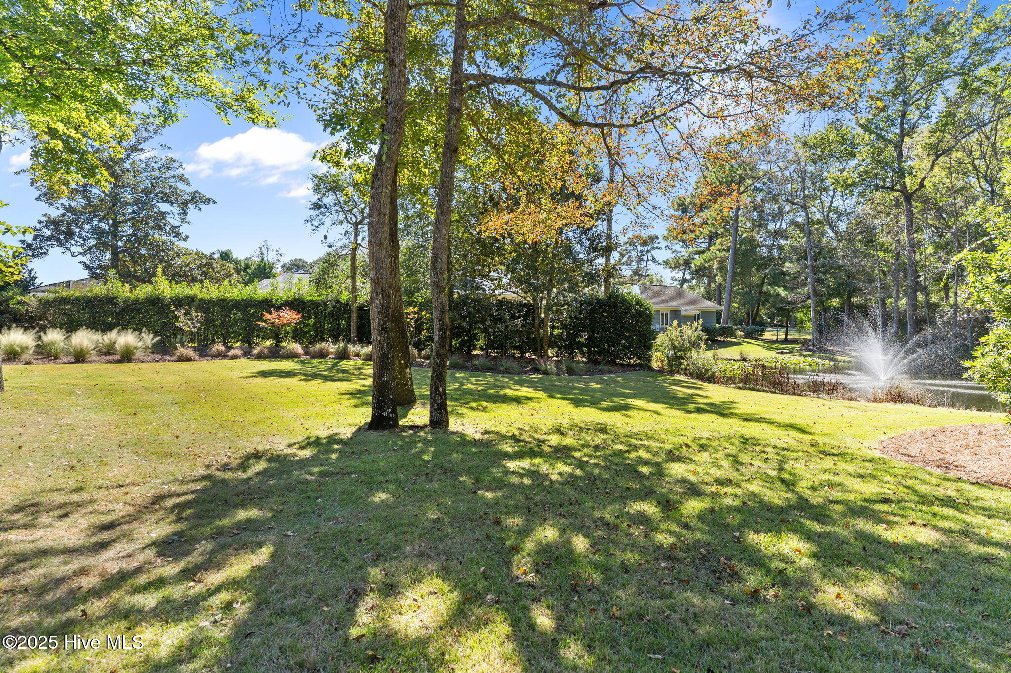 100537269 | Photo 17