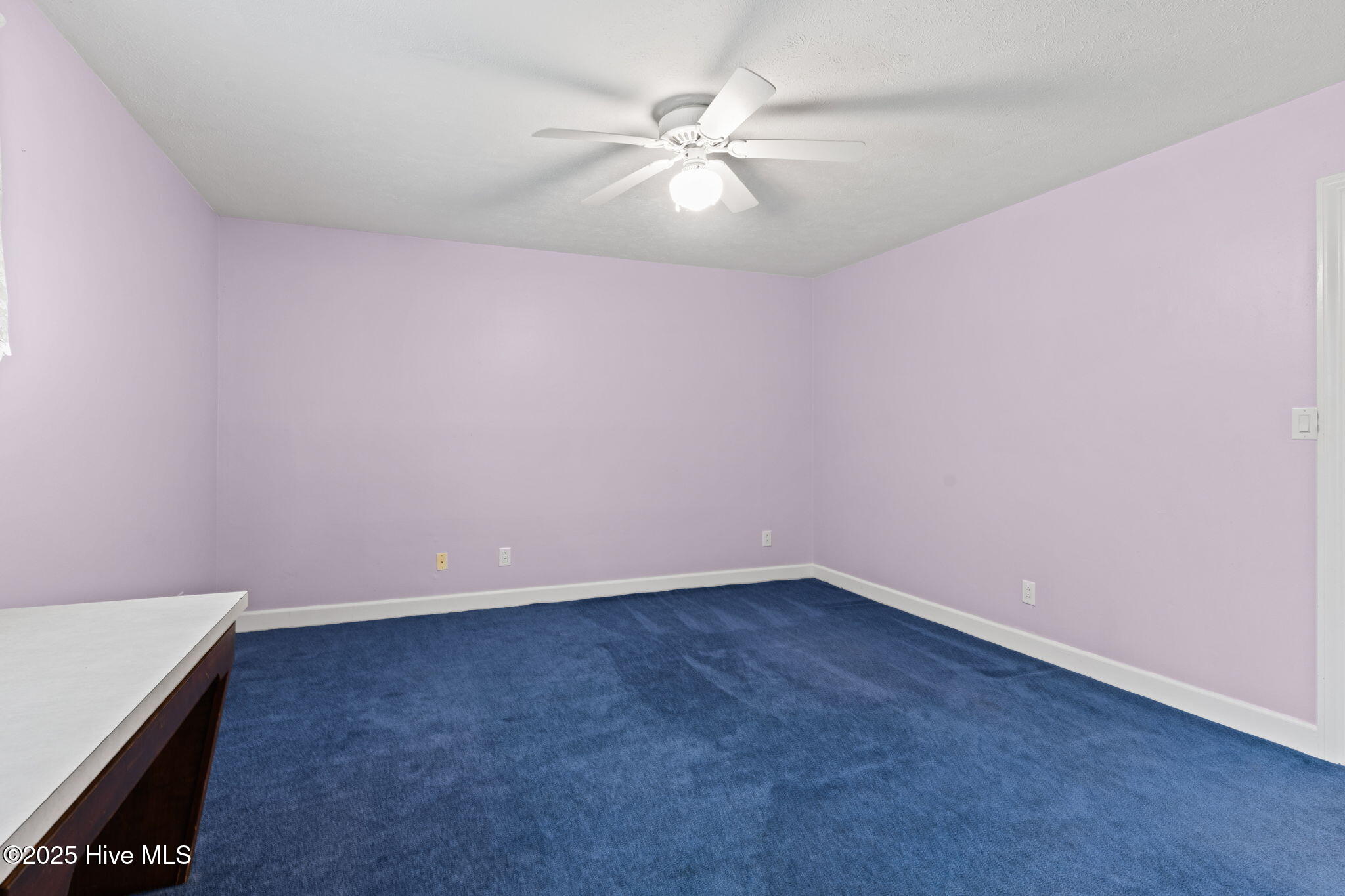 100526462 | Photo 37