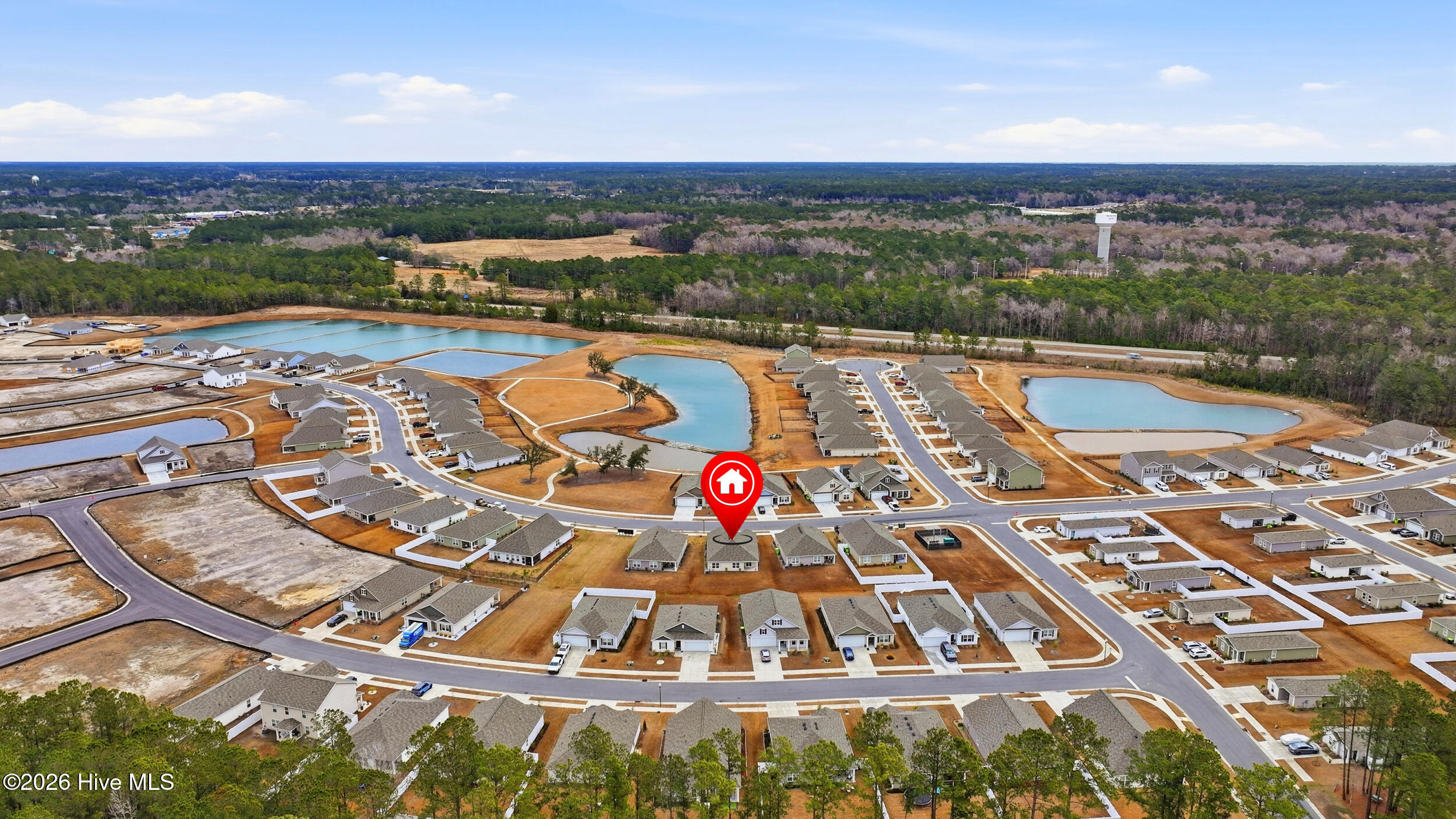 100555935 | Photo 44