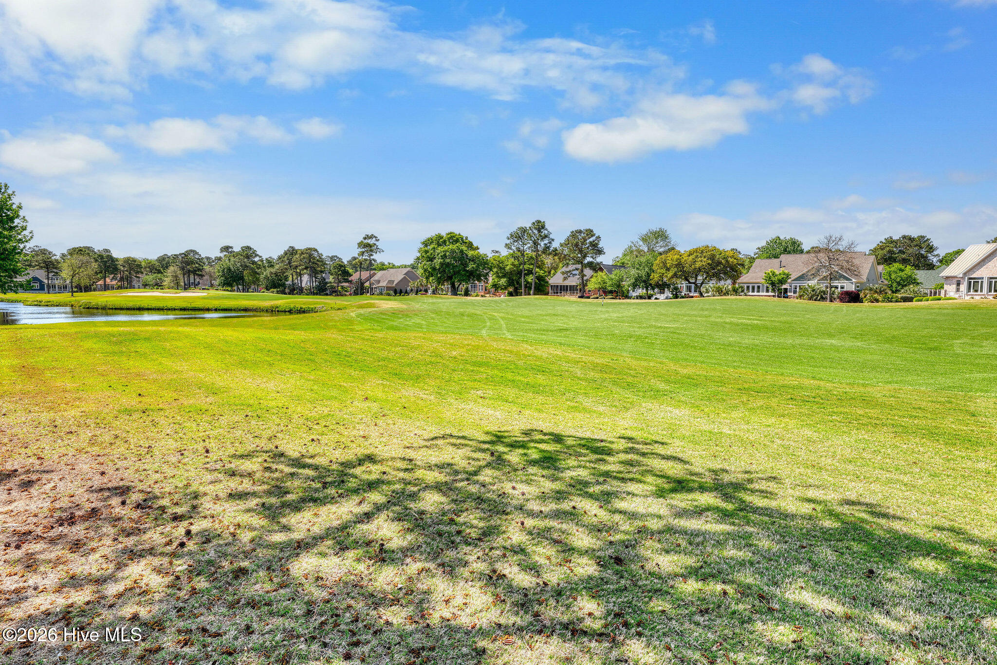 100569152 | Photo 65