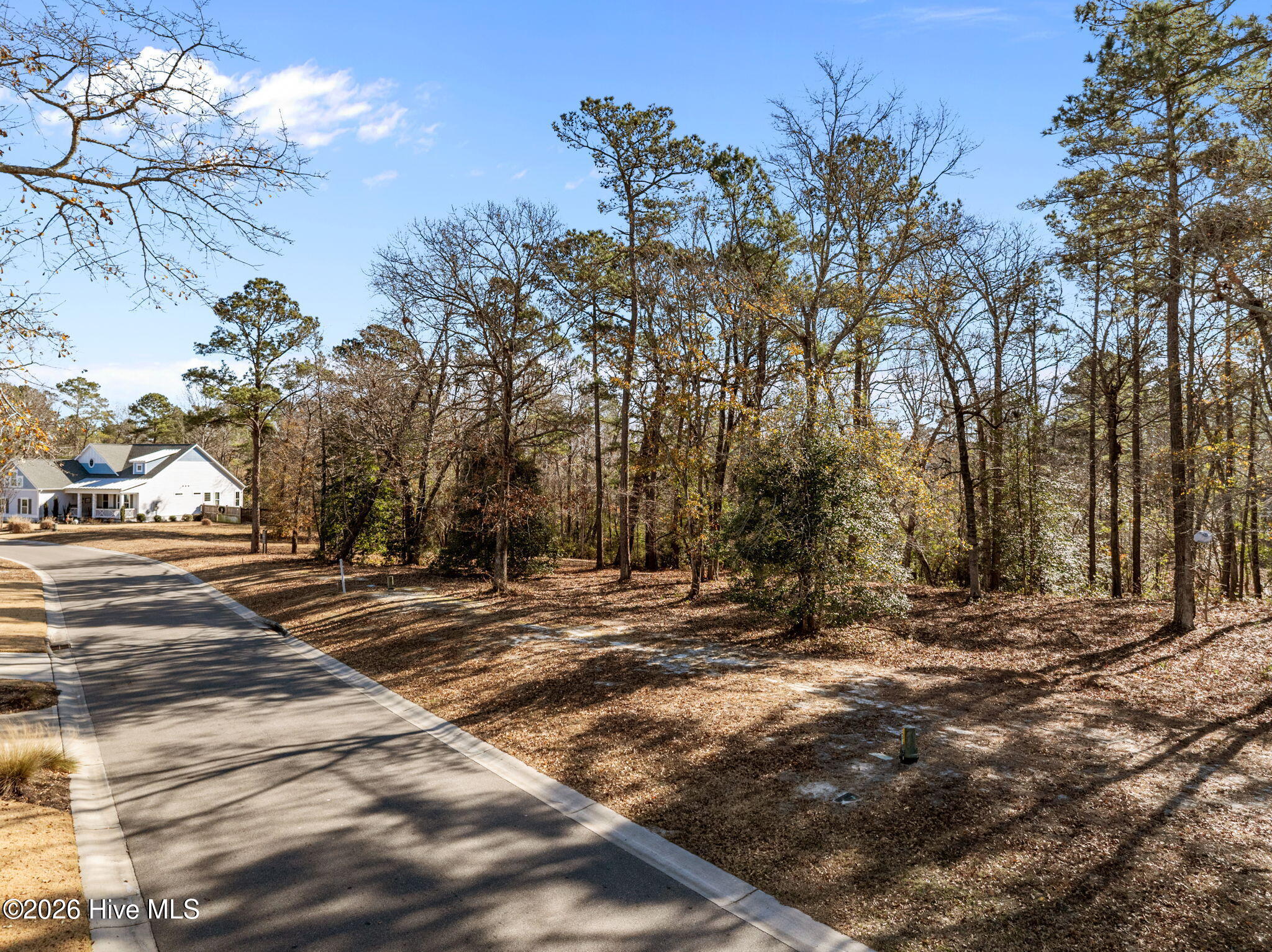 100547475 | Photo 25