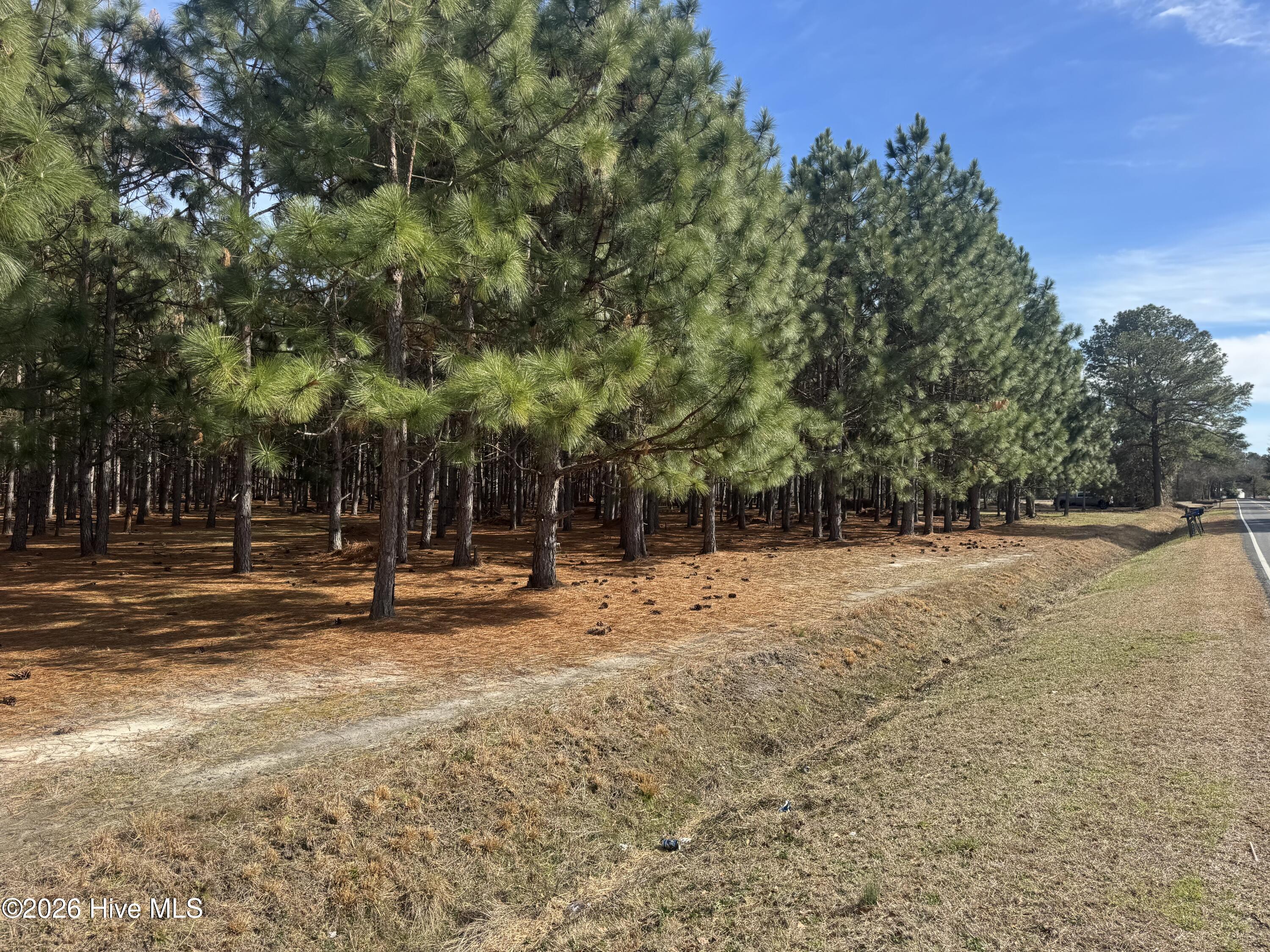 Homes for sale in Bladenboro, NC | 0 Butler Mill Road Road, Bladenboro, NC 28320 | MLS# 100556119