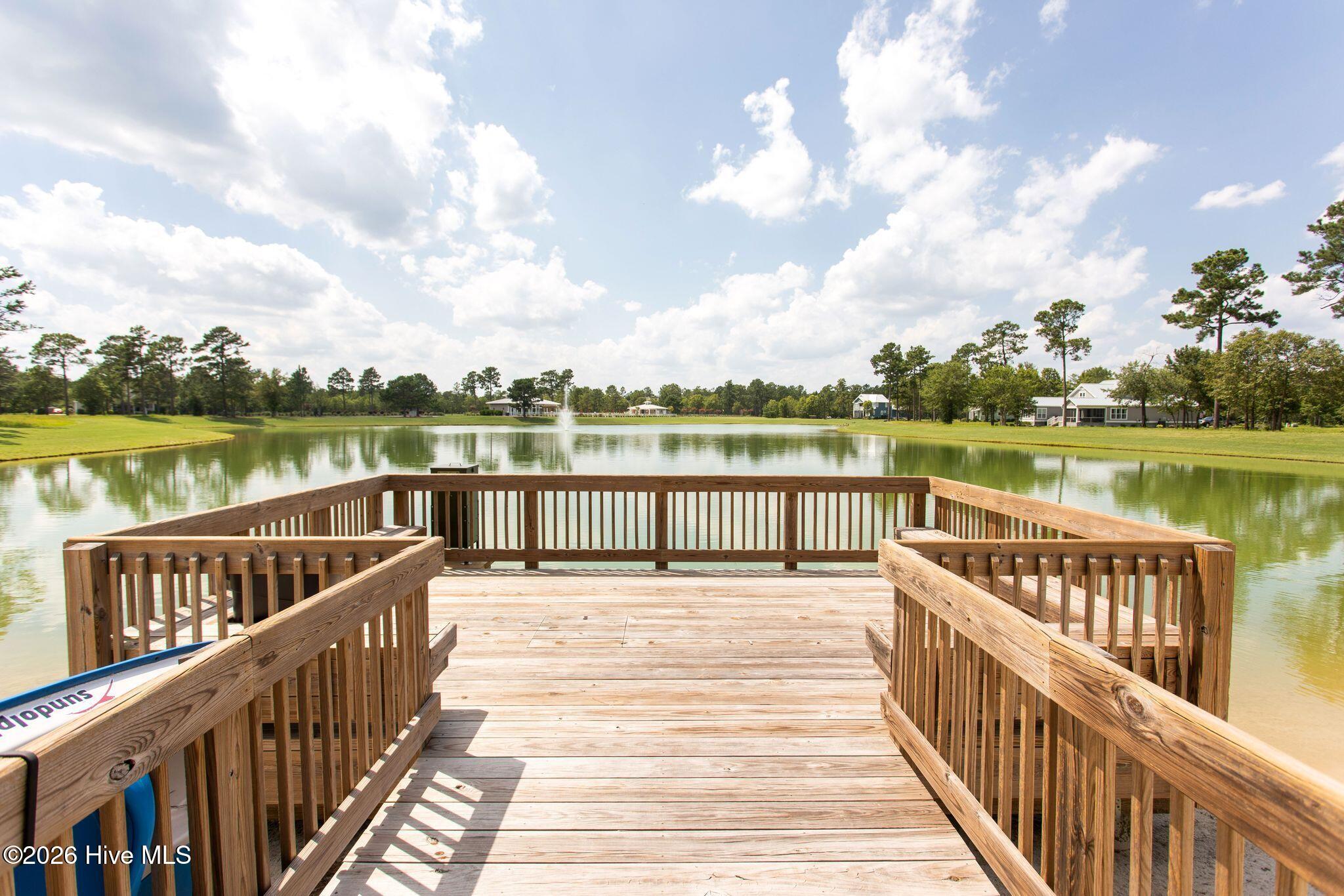 100569004 | Photo 110