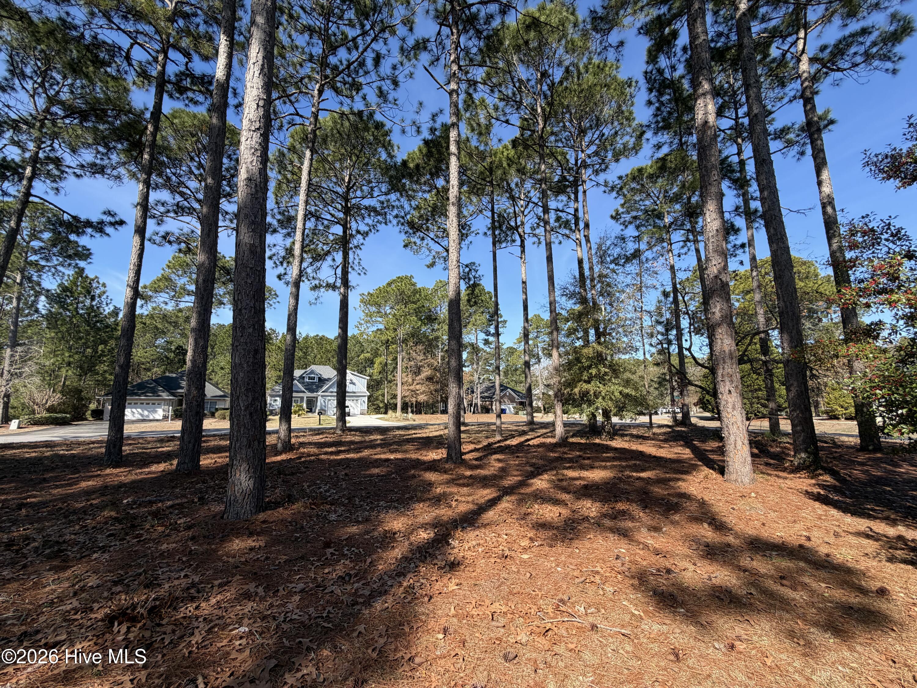 100559665 | Photo 29