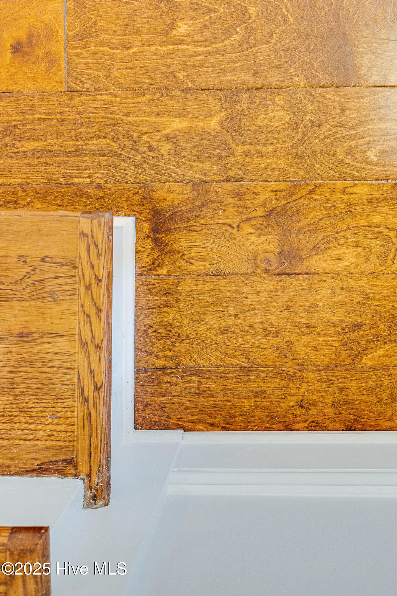 100542174 | Photo 32