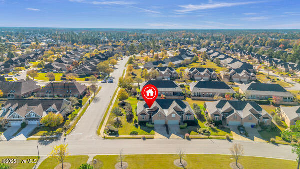 100543006 | Photo 47