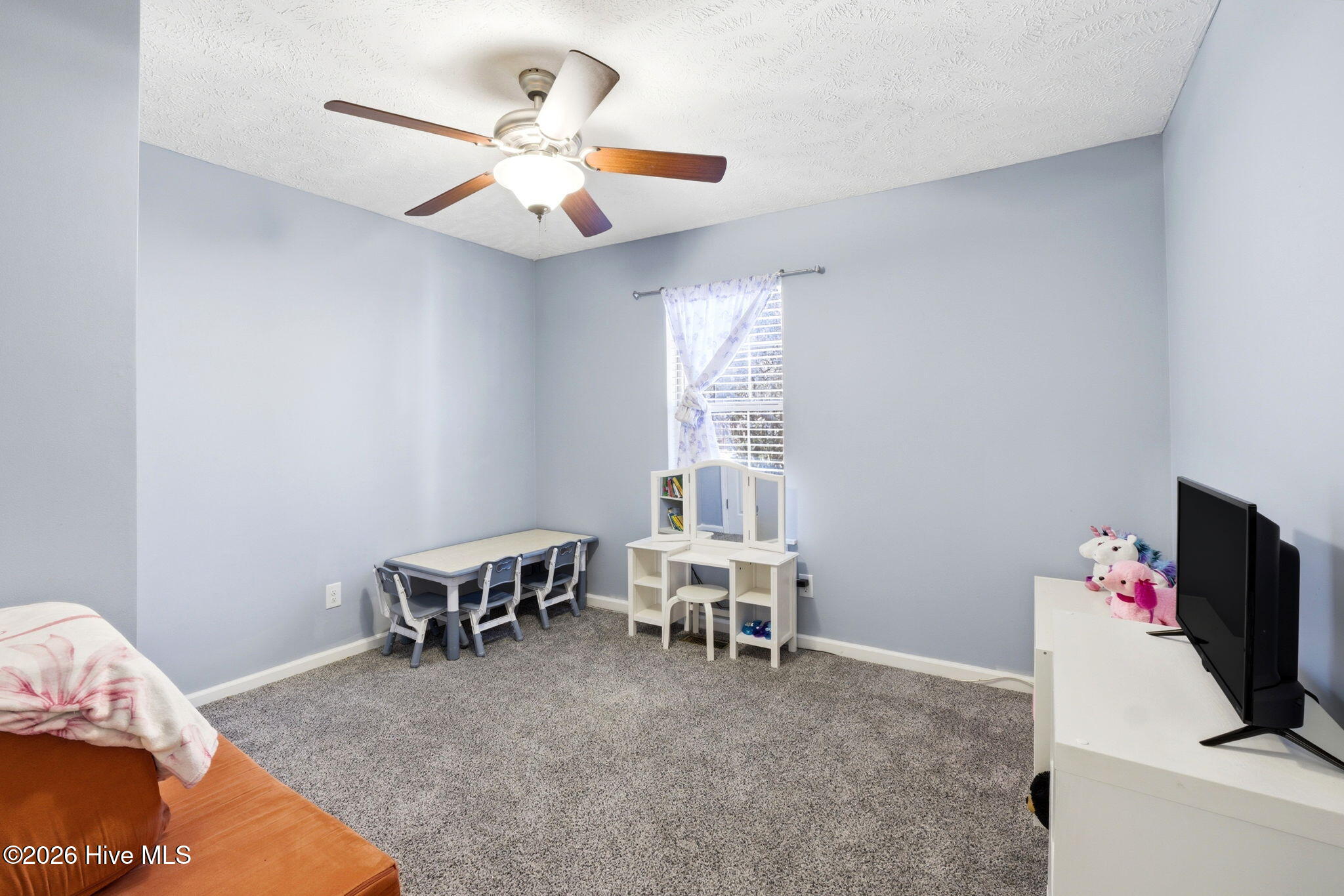 100561818 | Photo 19