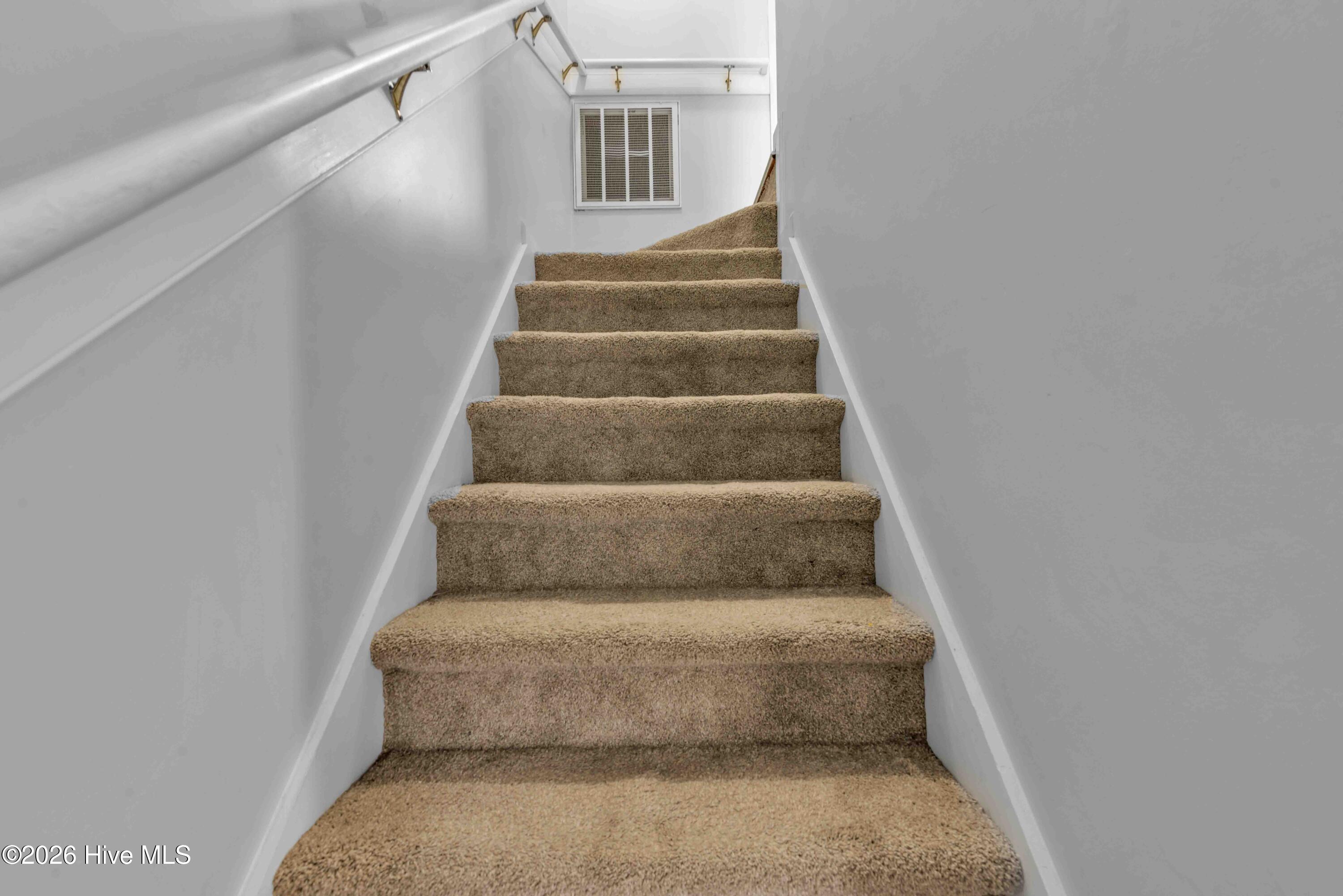 100558558 | Photo 11