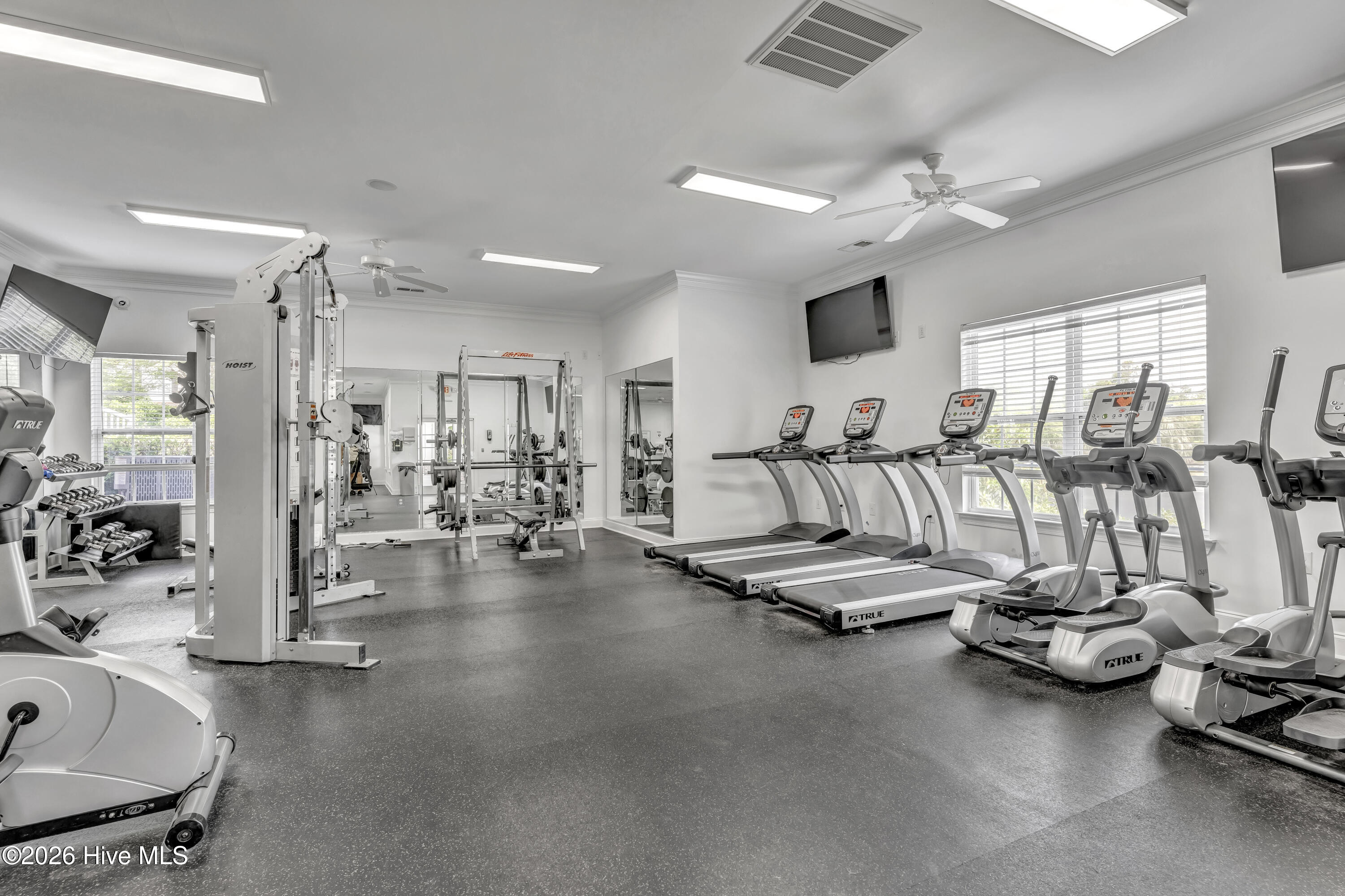 100549399 | Photo 32