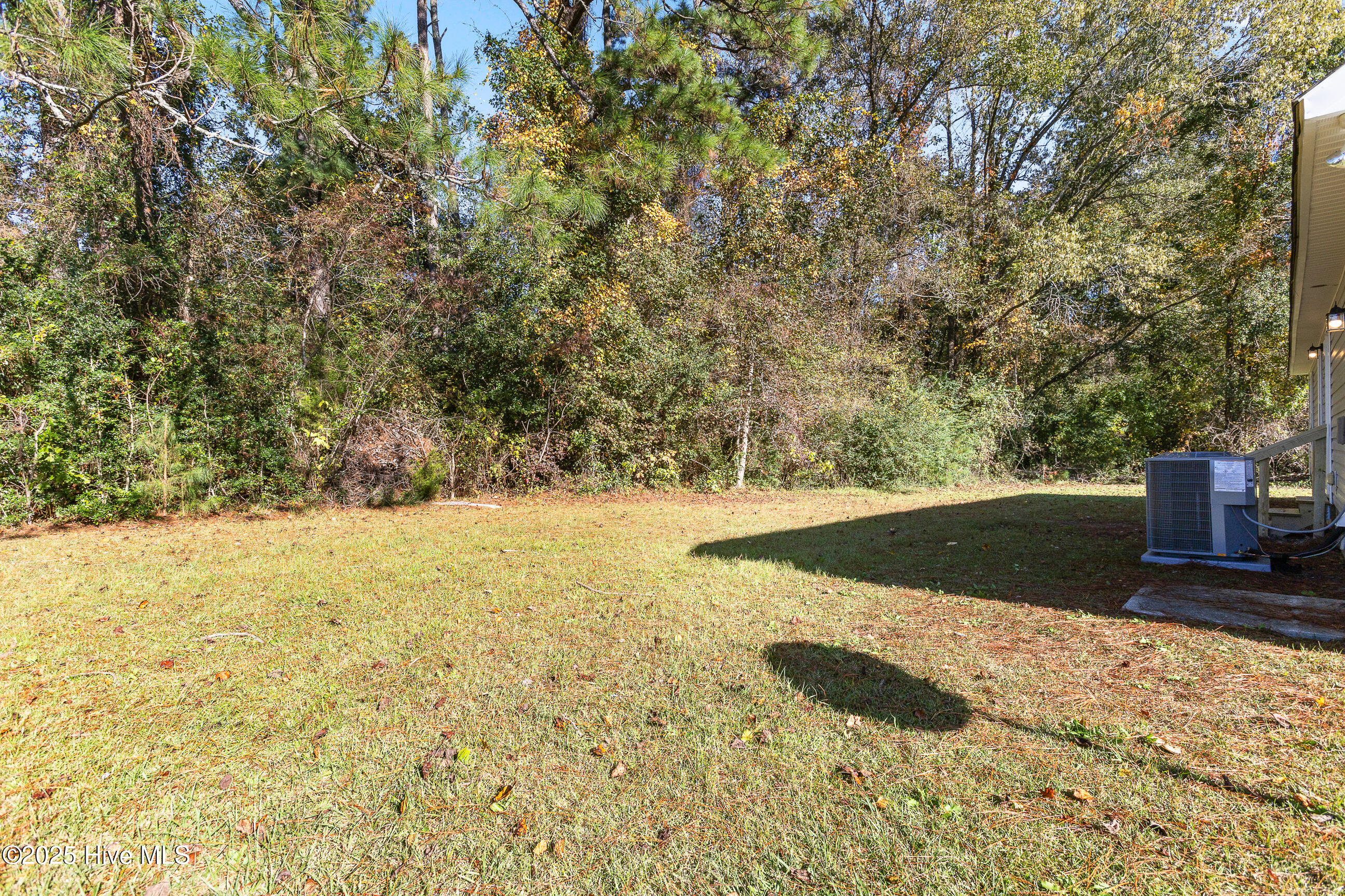 100541118 | Photo 23