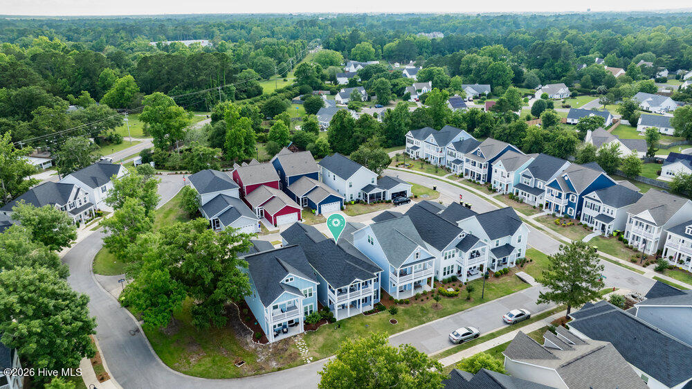 100558129 | Photo 53