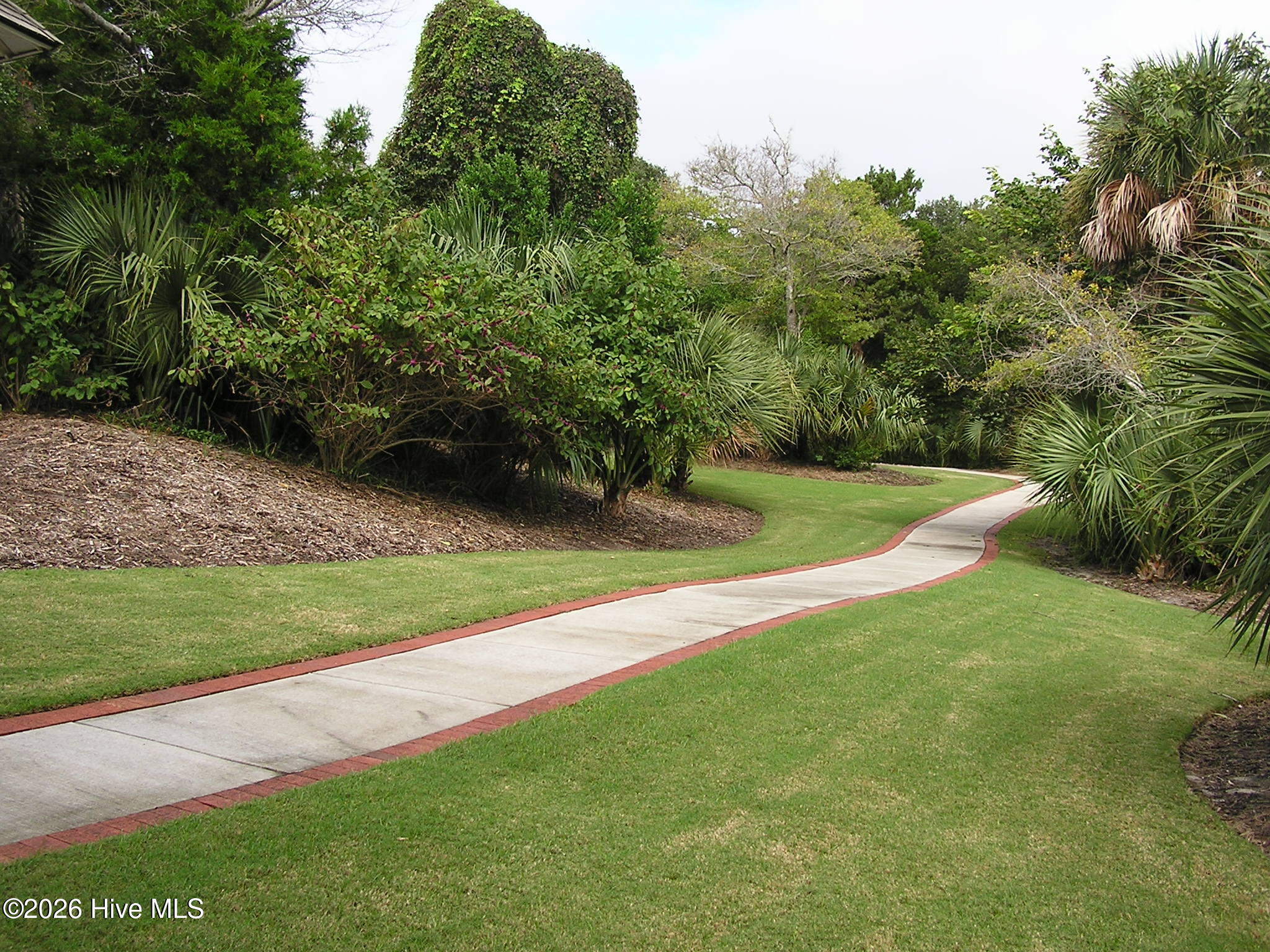 100555986 | Photo 13