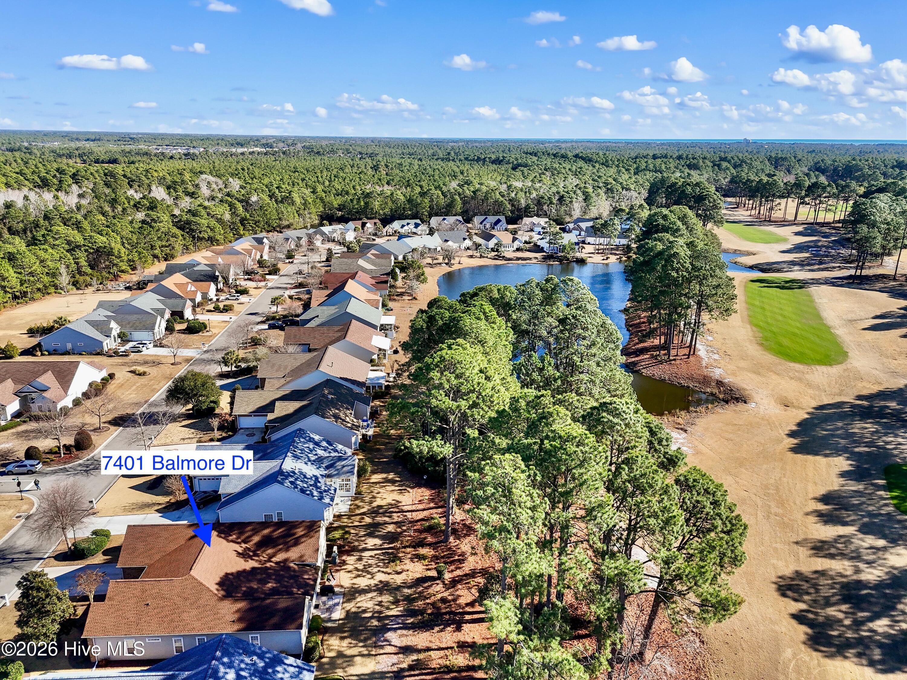 100549811 | Photo 55