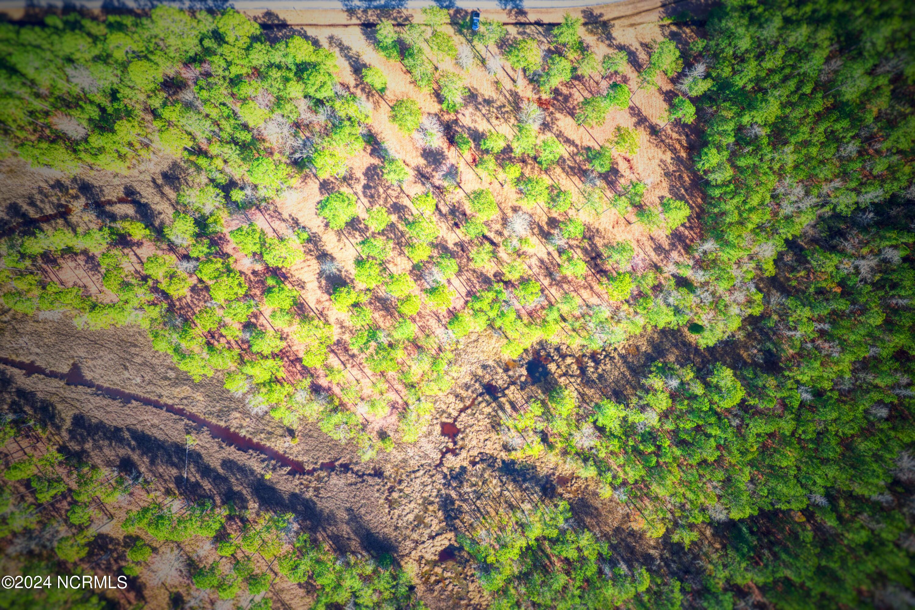 203 Paradox Point Drive, Aurora, NC, 27806