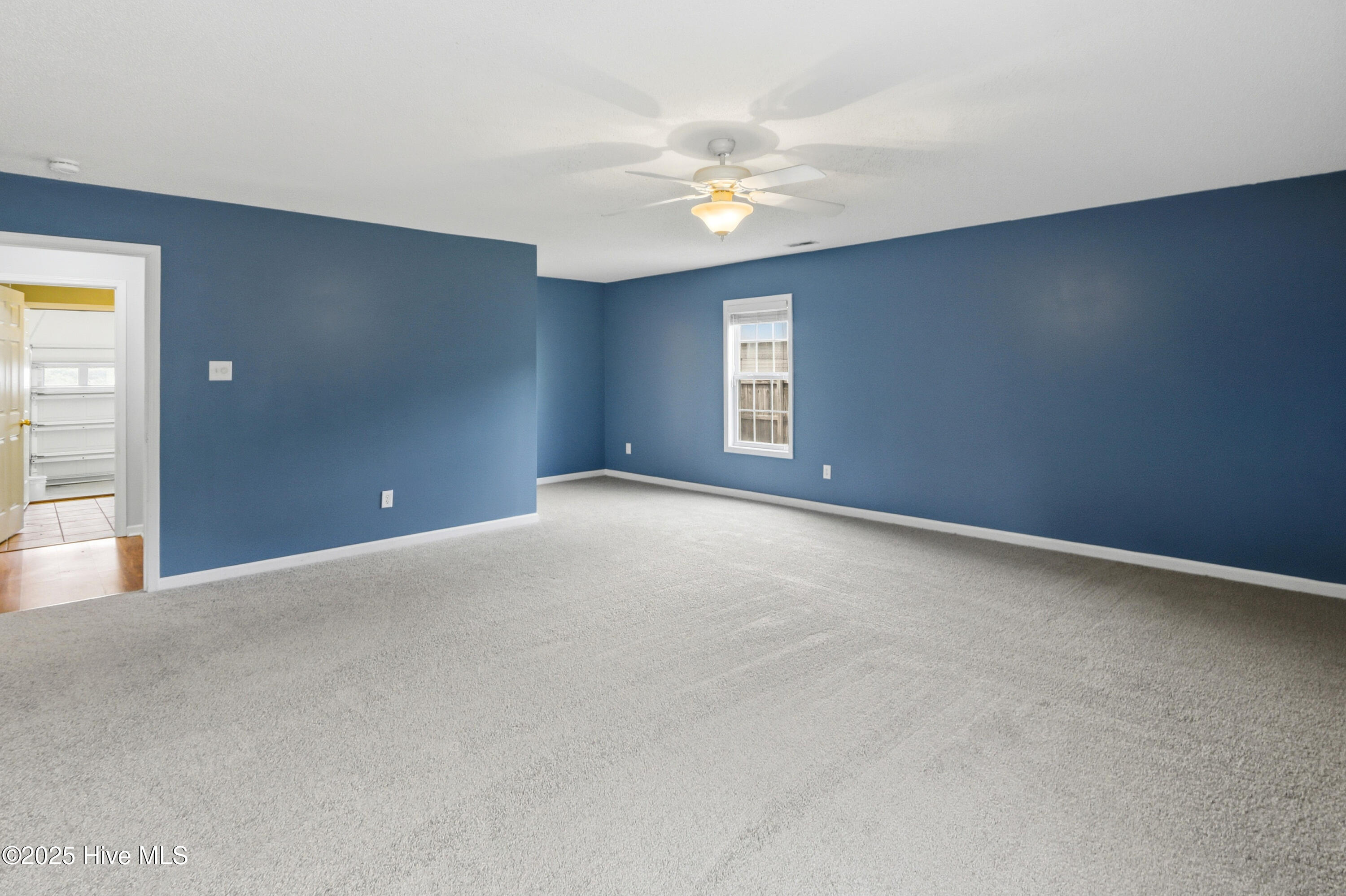 100531186 | Photo 19