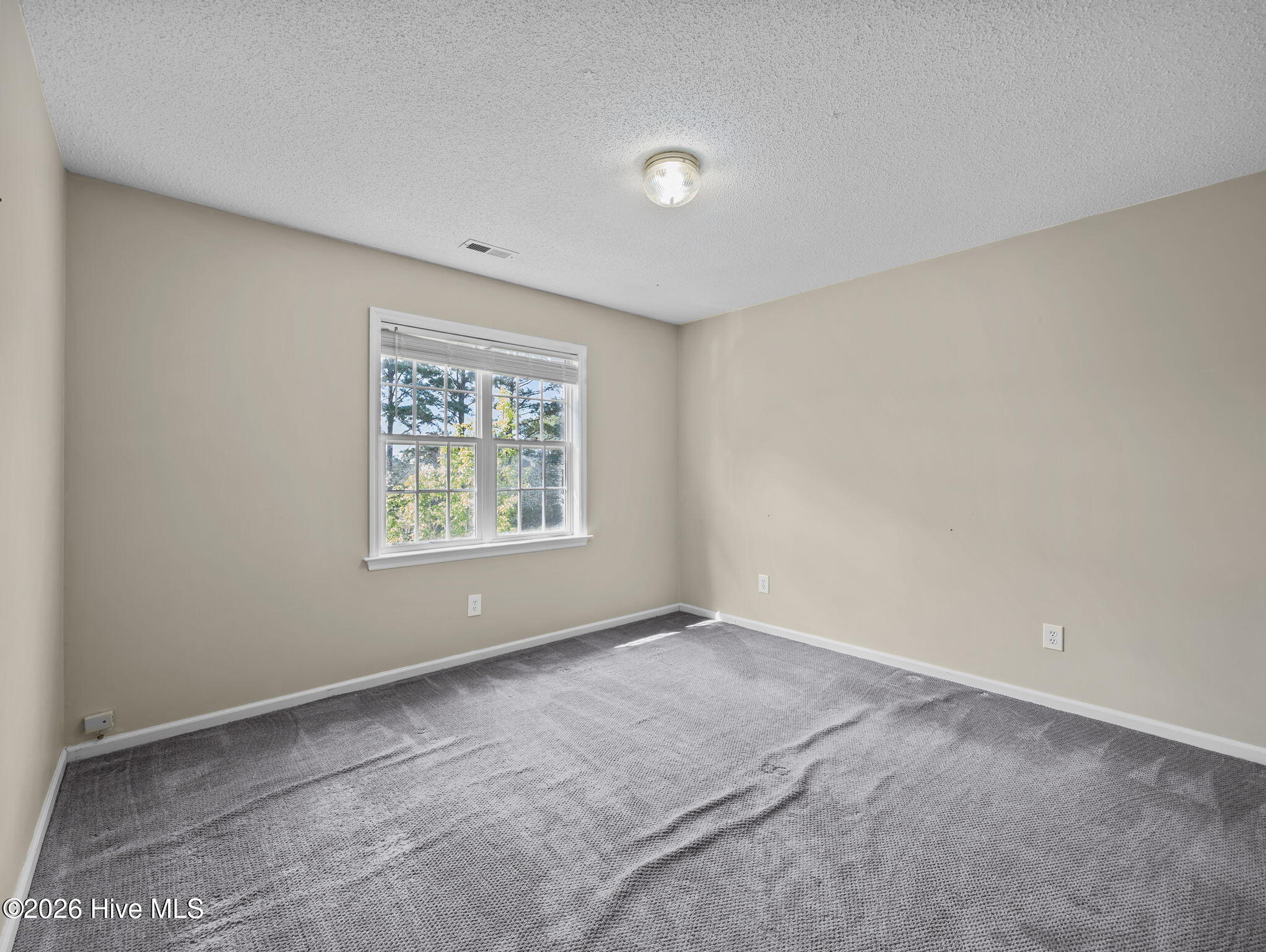 100565135 | Photo 22