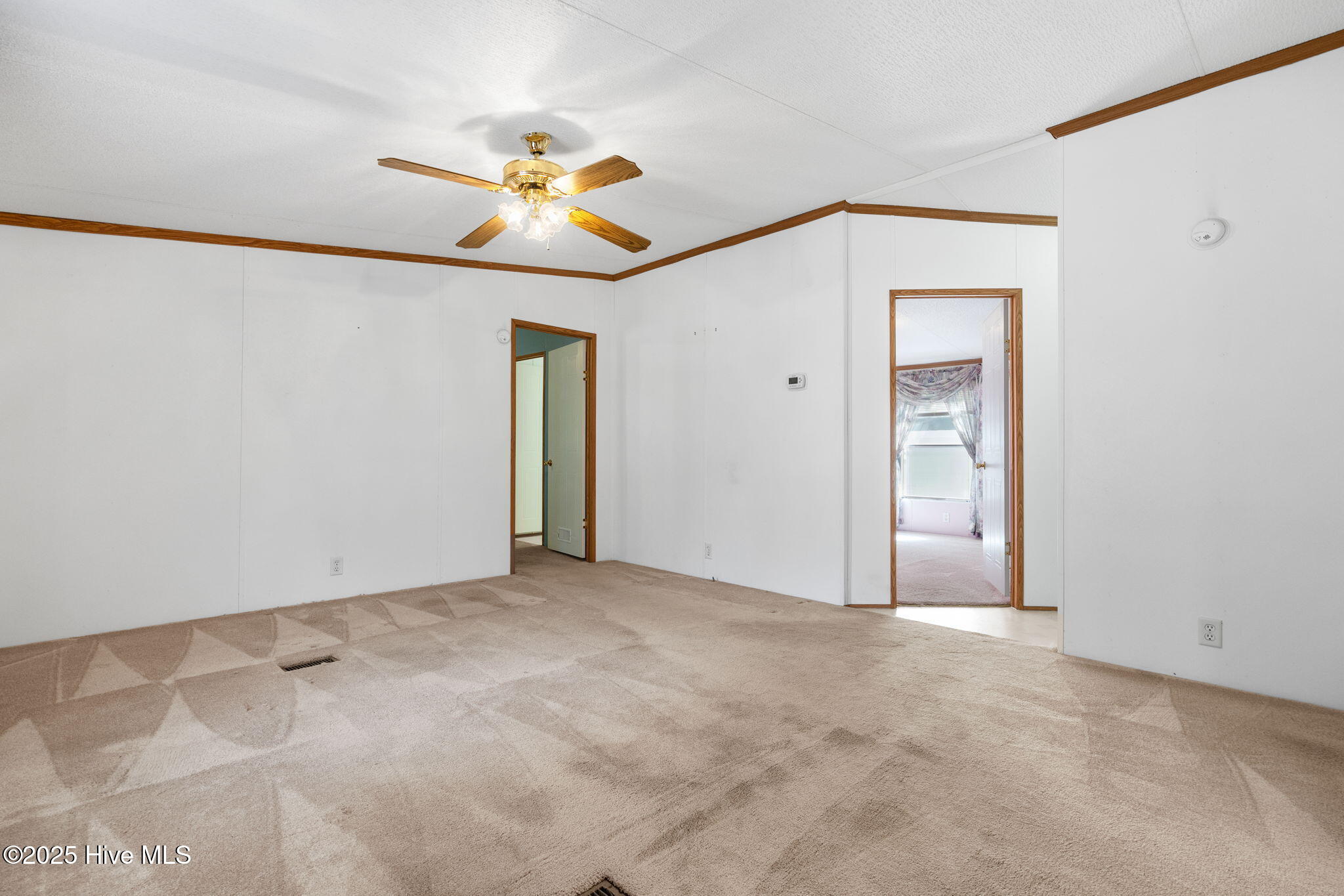 100541276 | Photo 20