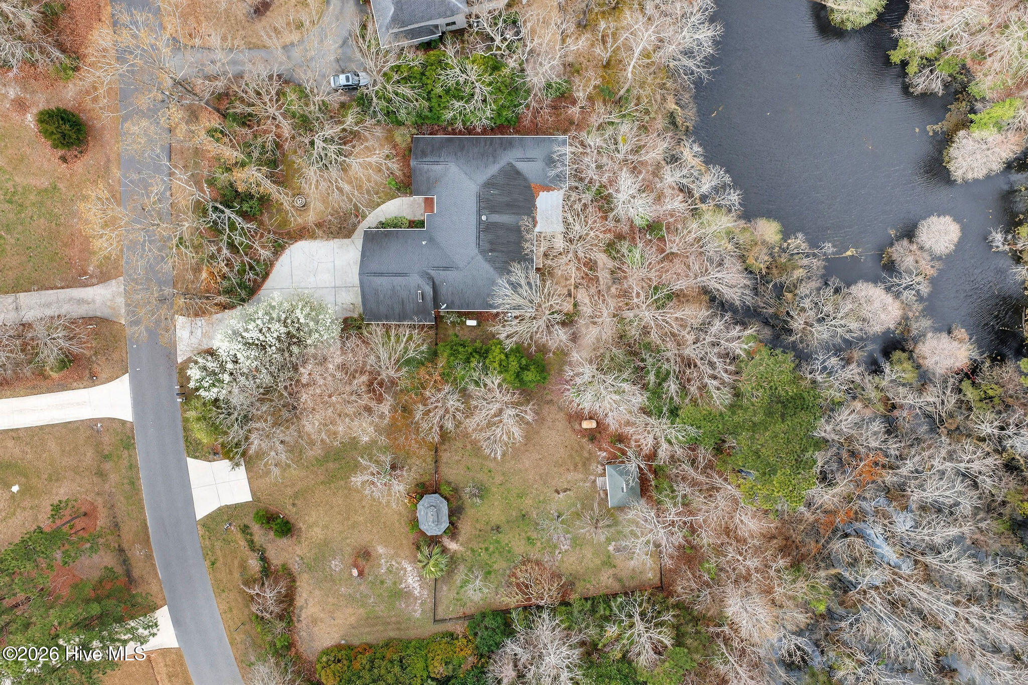 100556345 | Photo 58