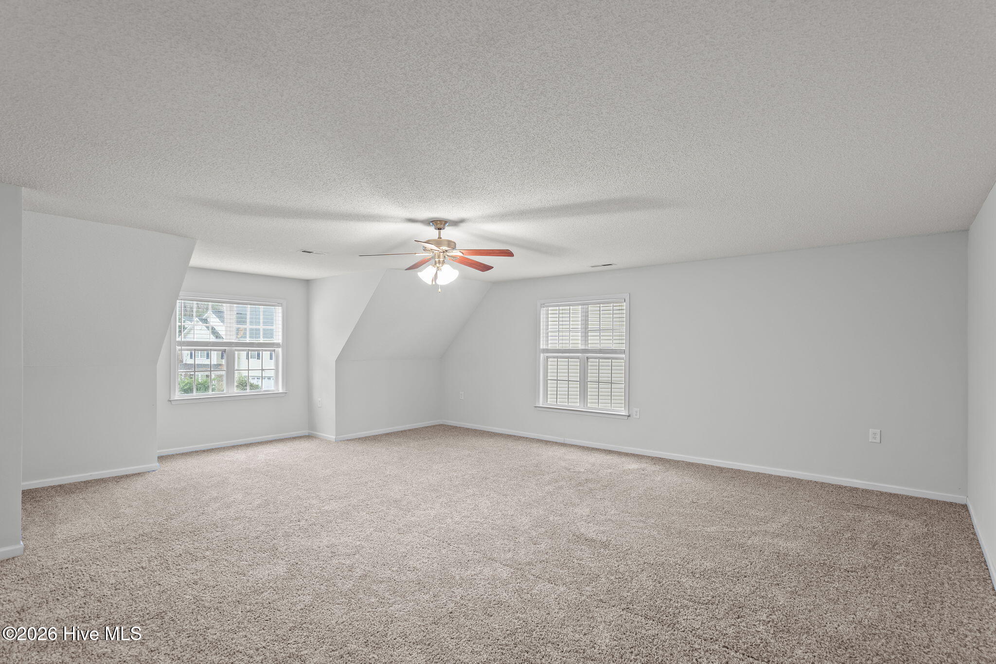 100558076 | Photo 31