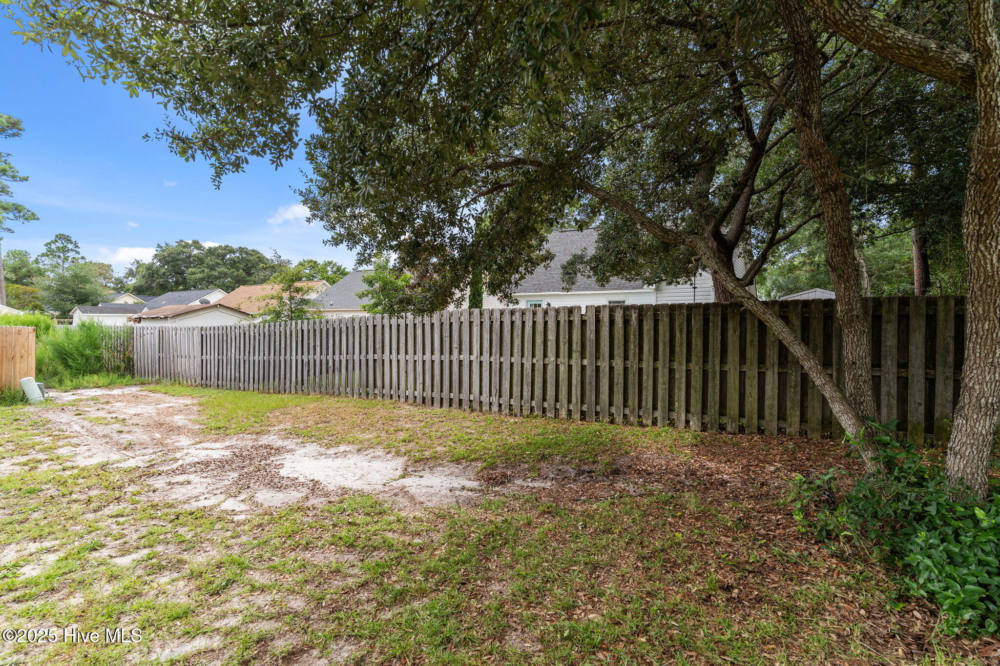 100526319 | Photo 20