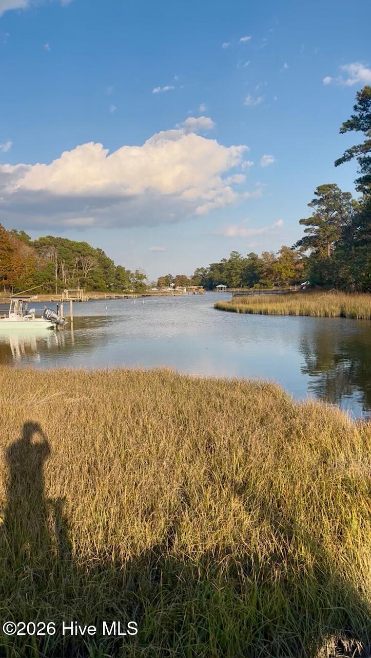 100557906 | Photo 24