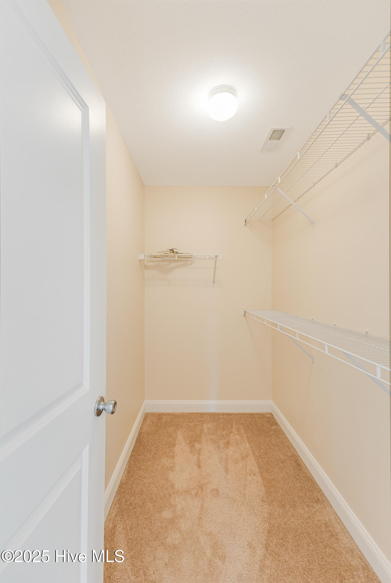 100505553 | Photo 22