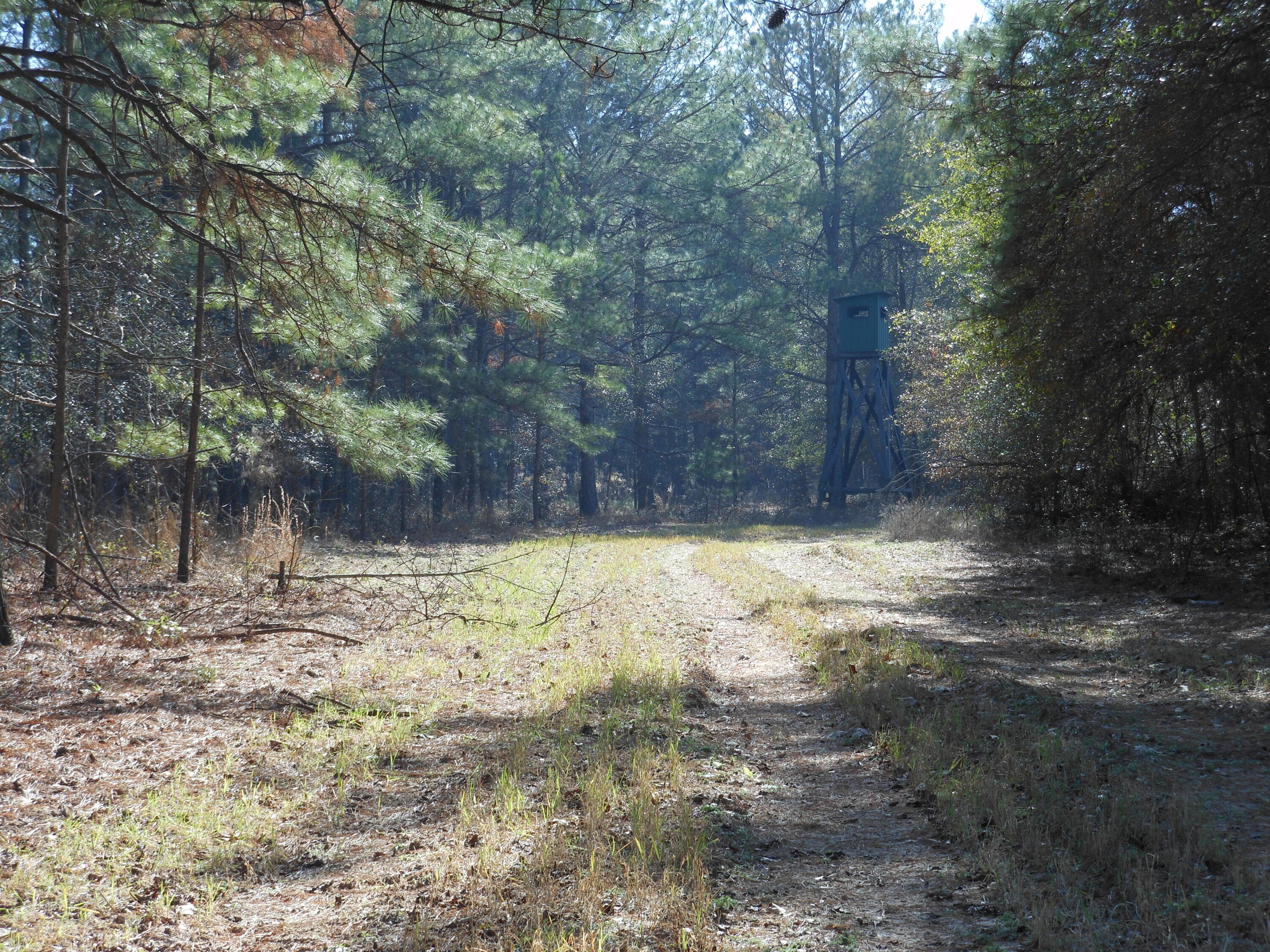 Homes for sale in Waynesboro, GA | 0 Ponderosa Rd, Waynesboro, GA 30830 | MLS# 551397