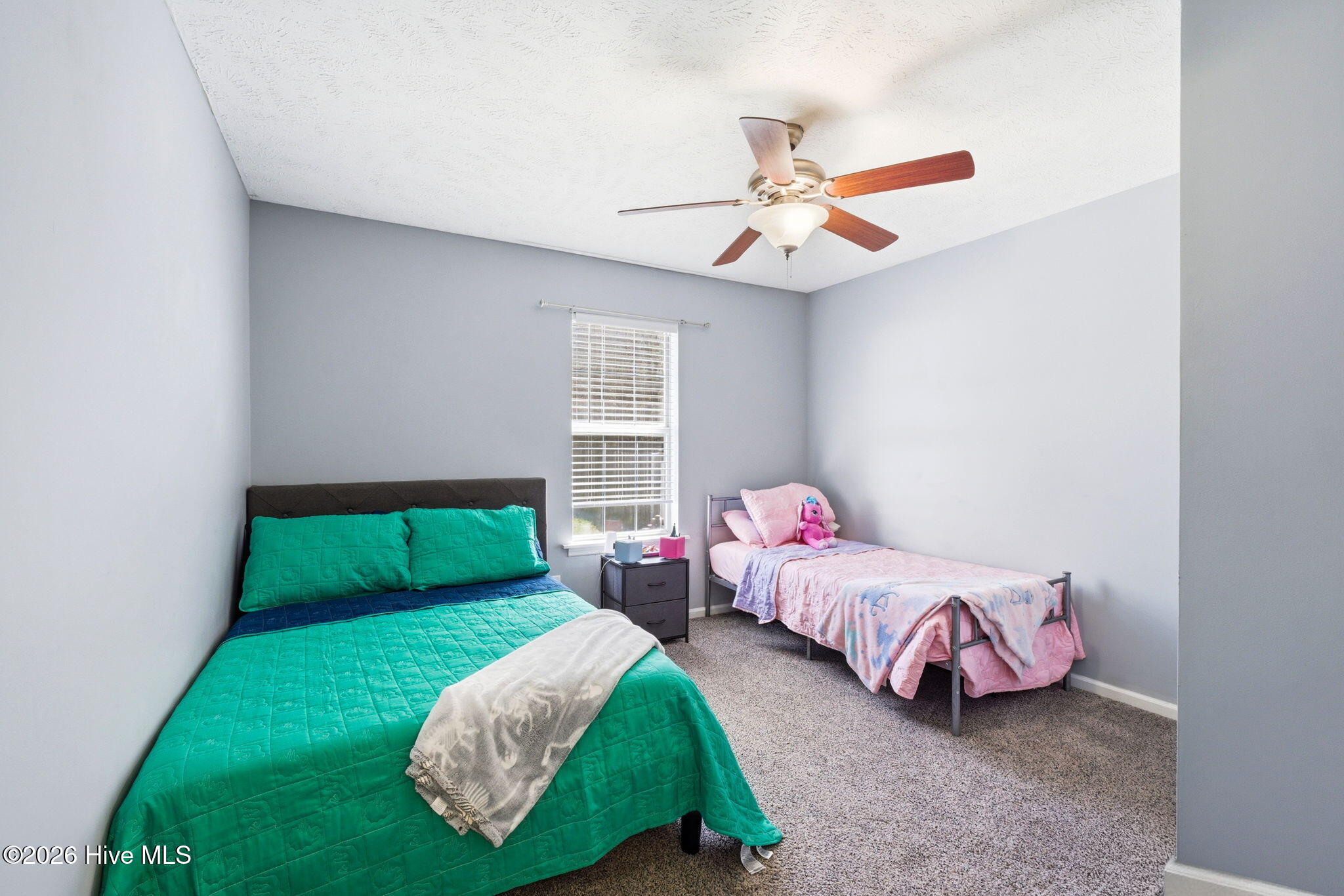 100561818 | Photo 16