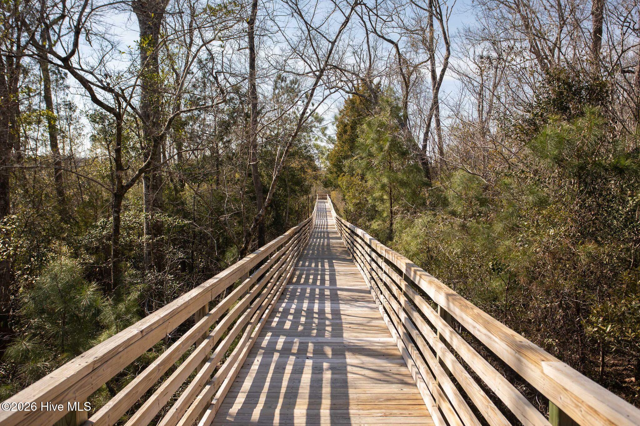 100560702 | Photo 99