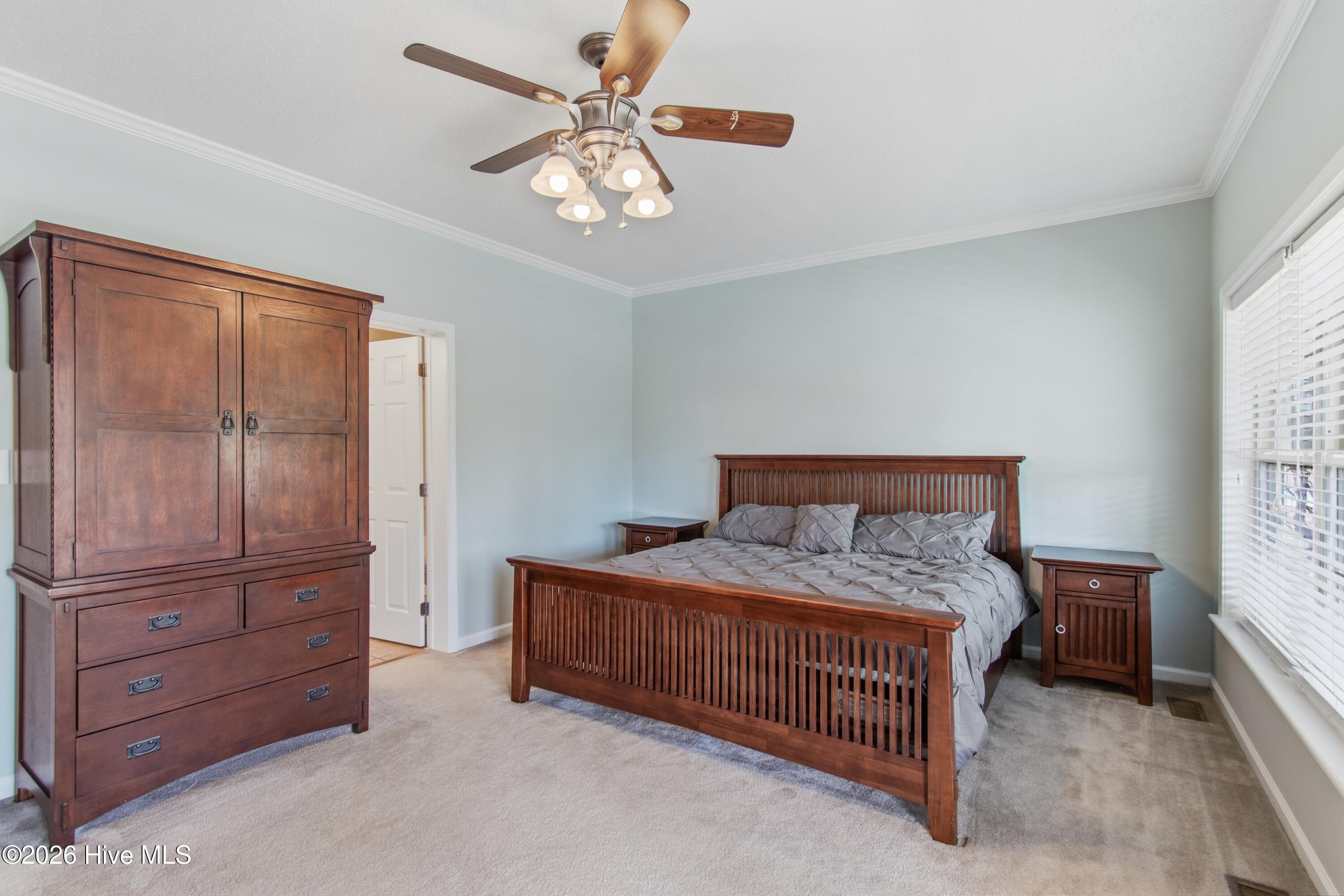 100556655 | Photo 30