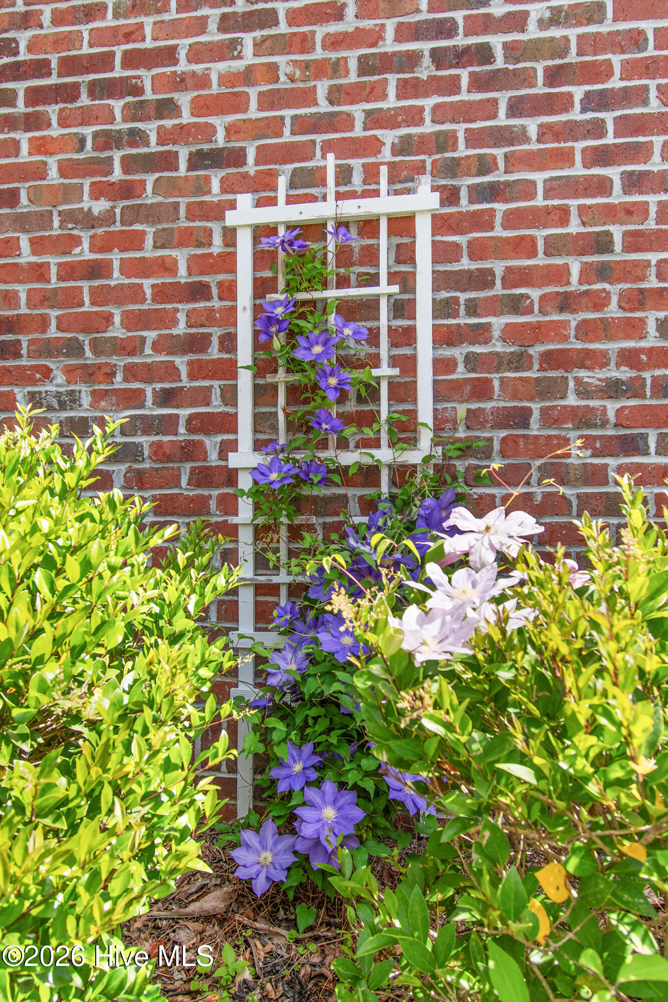 100555309 | Photo 35